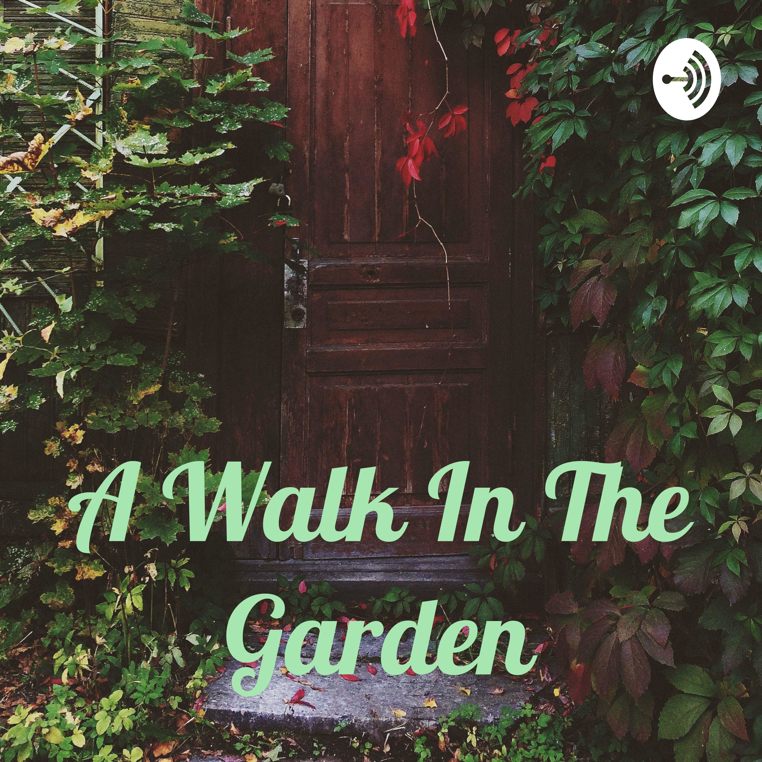 A Walk In The Garden