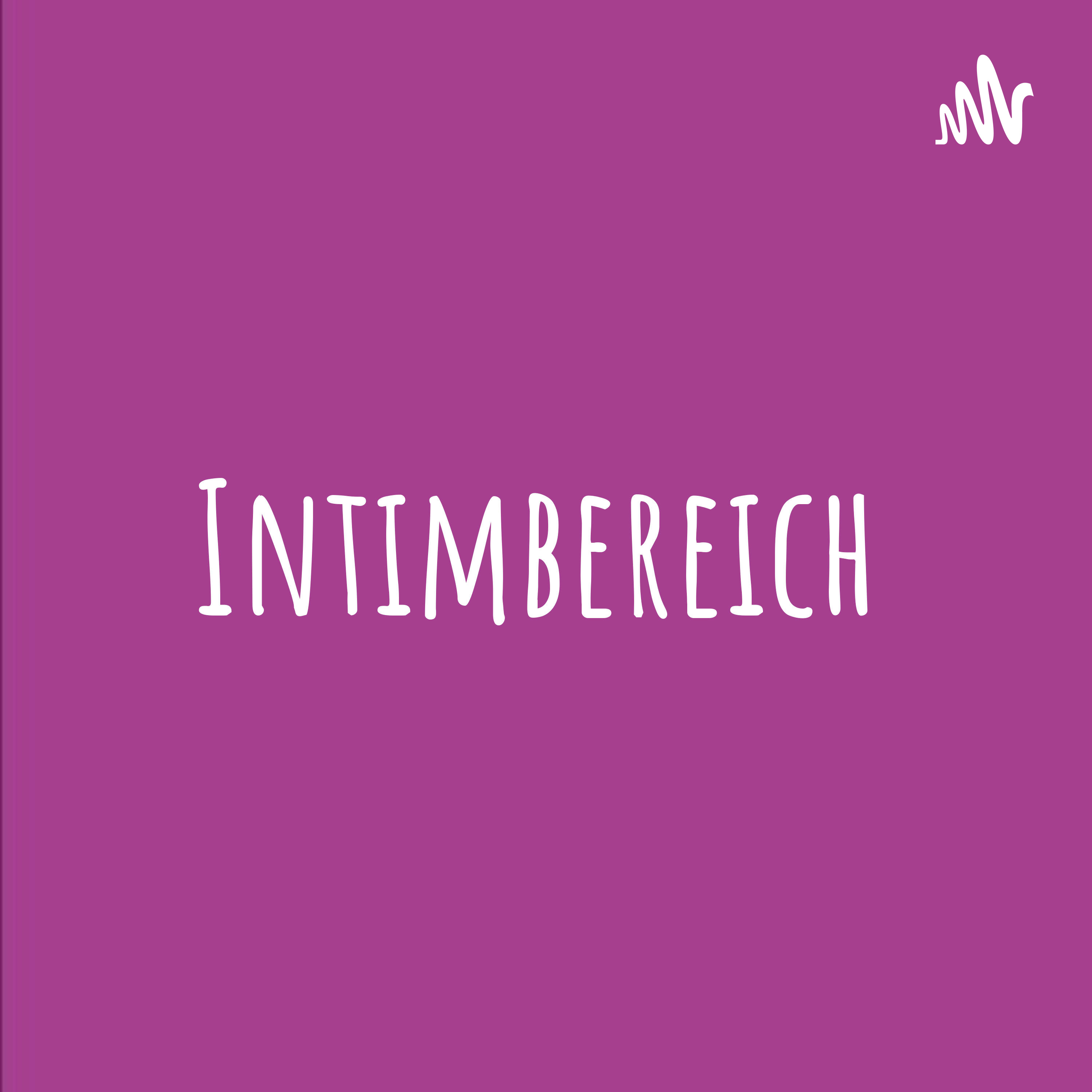 Das Traumtagebuch