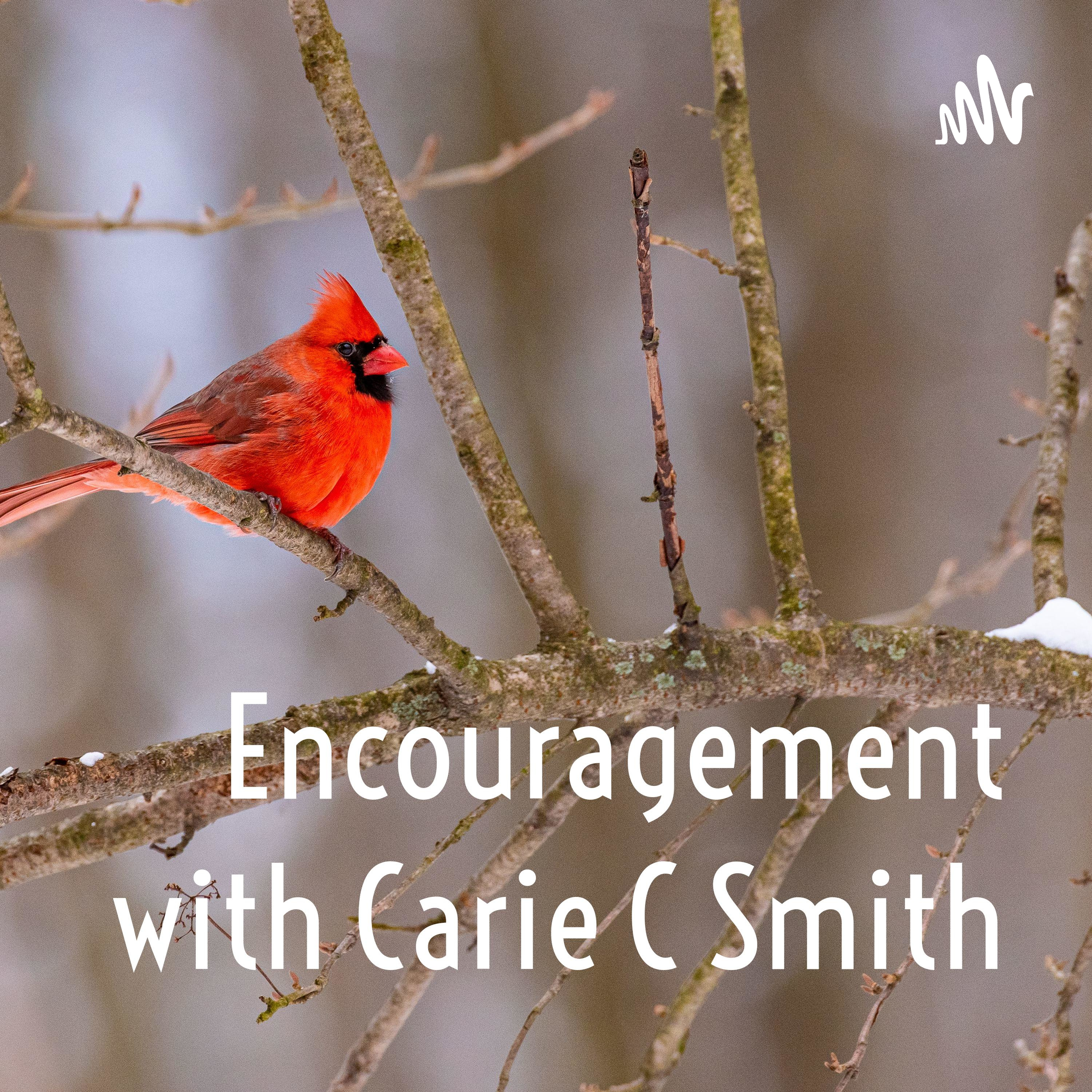 Encouragement with Carie C Smith