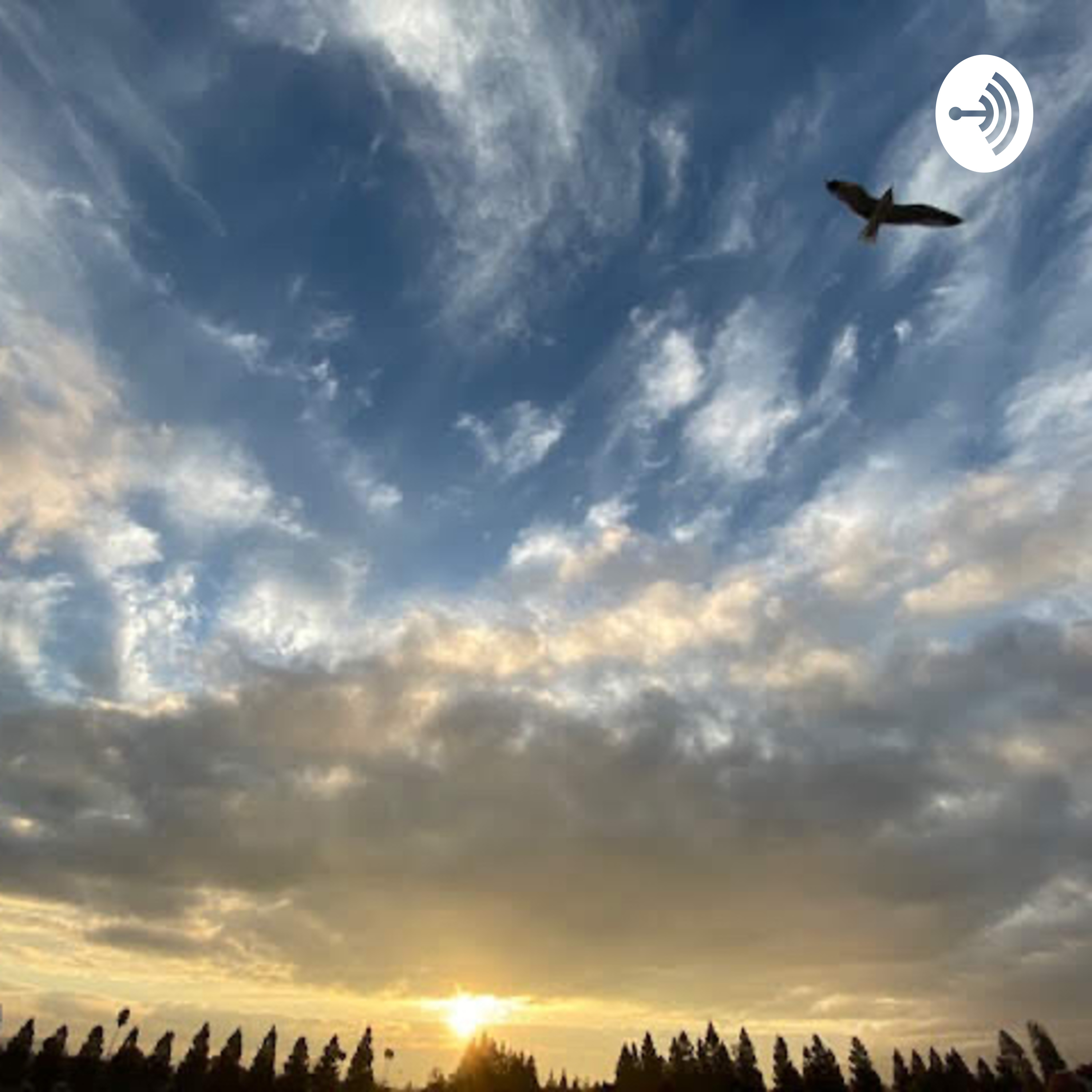 米樂49 podcast artwork