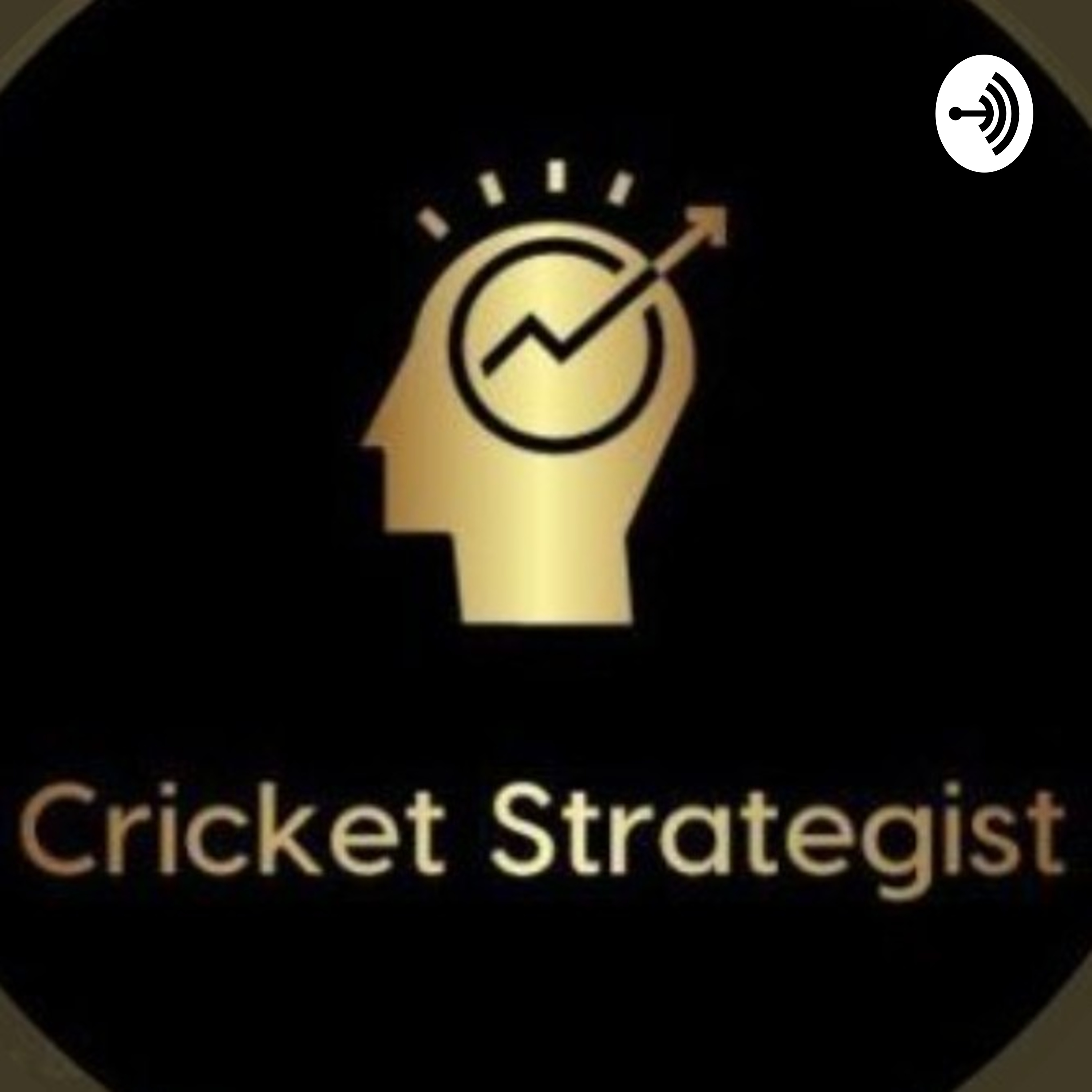 Cricket Strategist