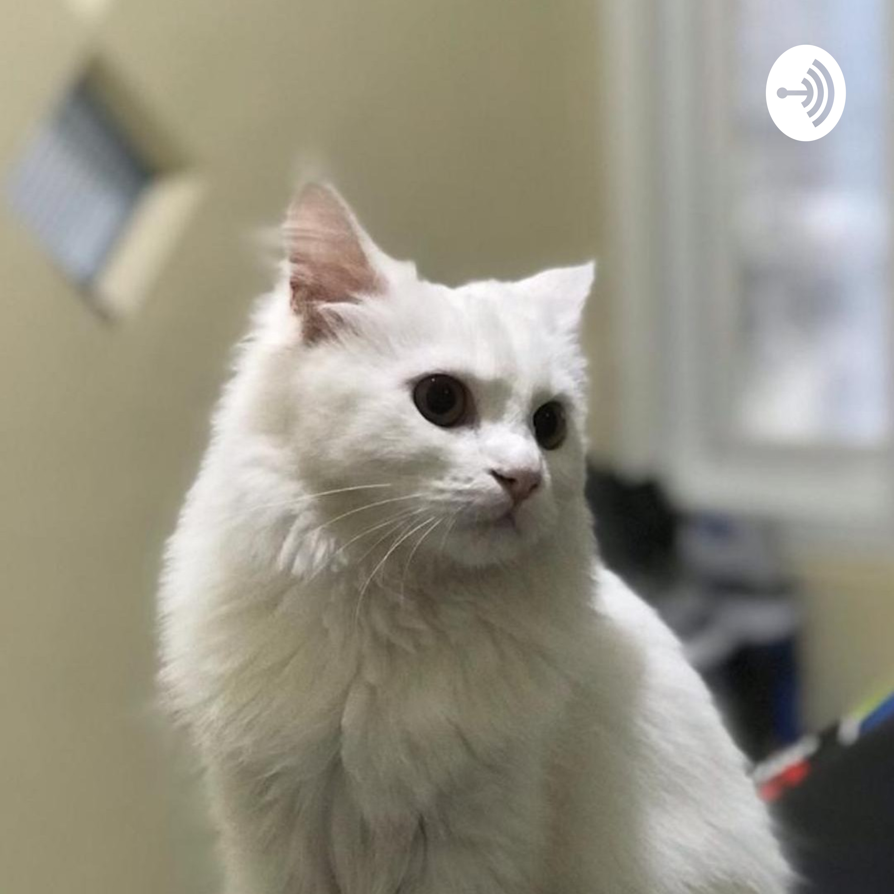 I just wanna sleep 7 hours at night