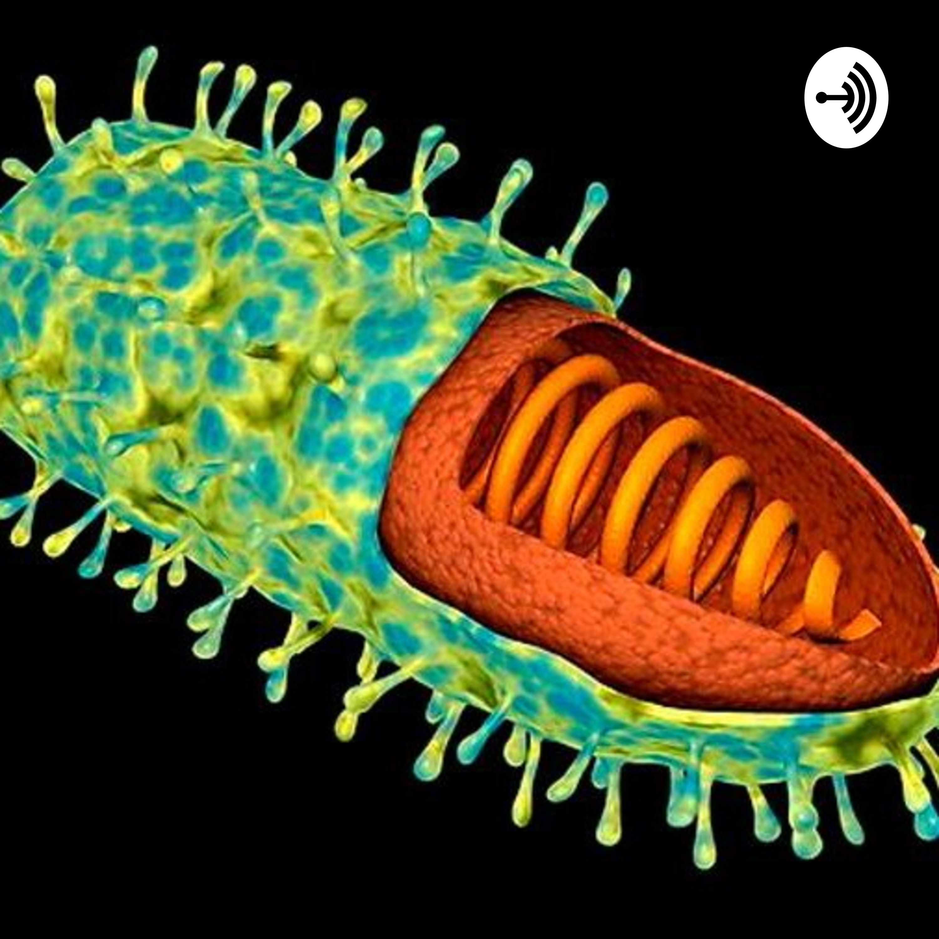 Virus de la Rabia