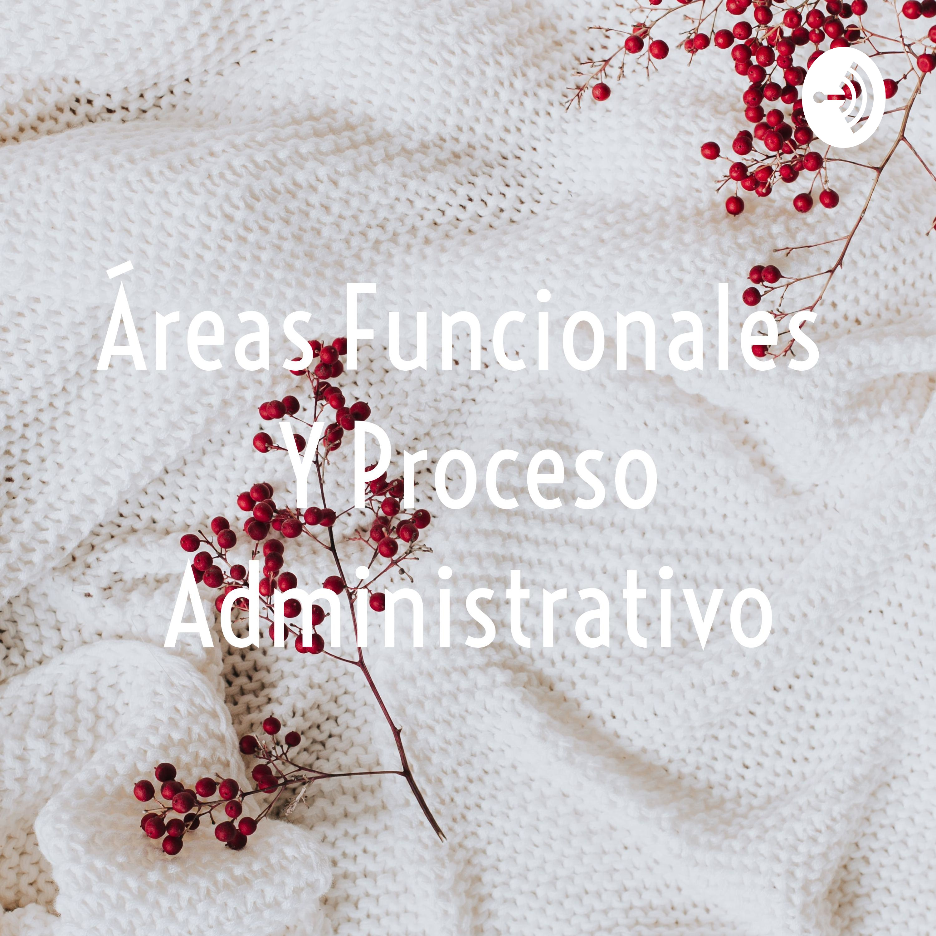 Áreas Funcionales Y Proceso Administrativo