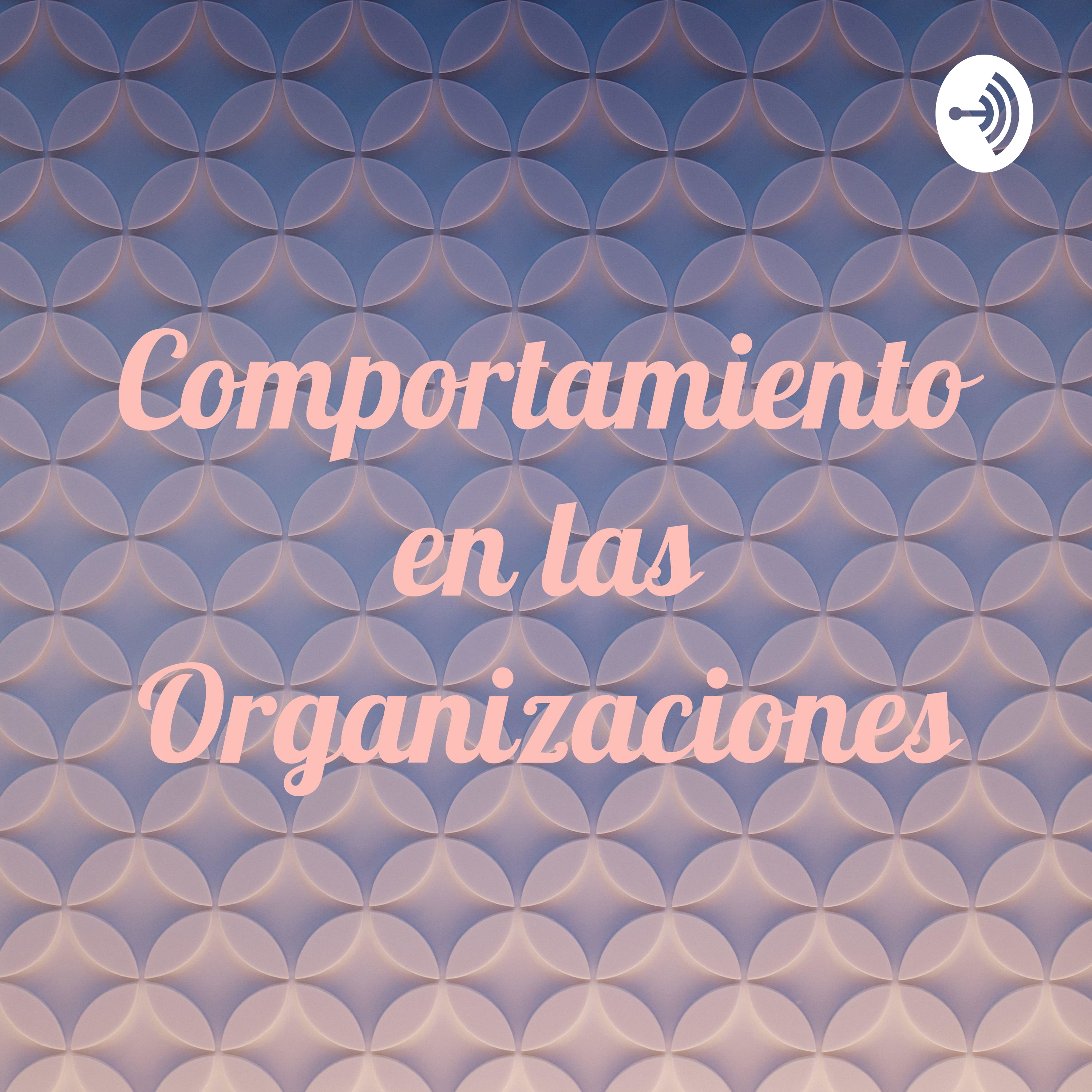 Comportamiento en las Organizaciones