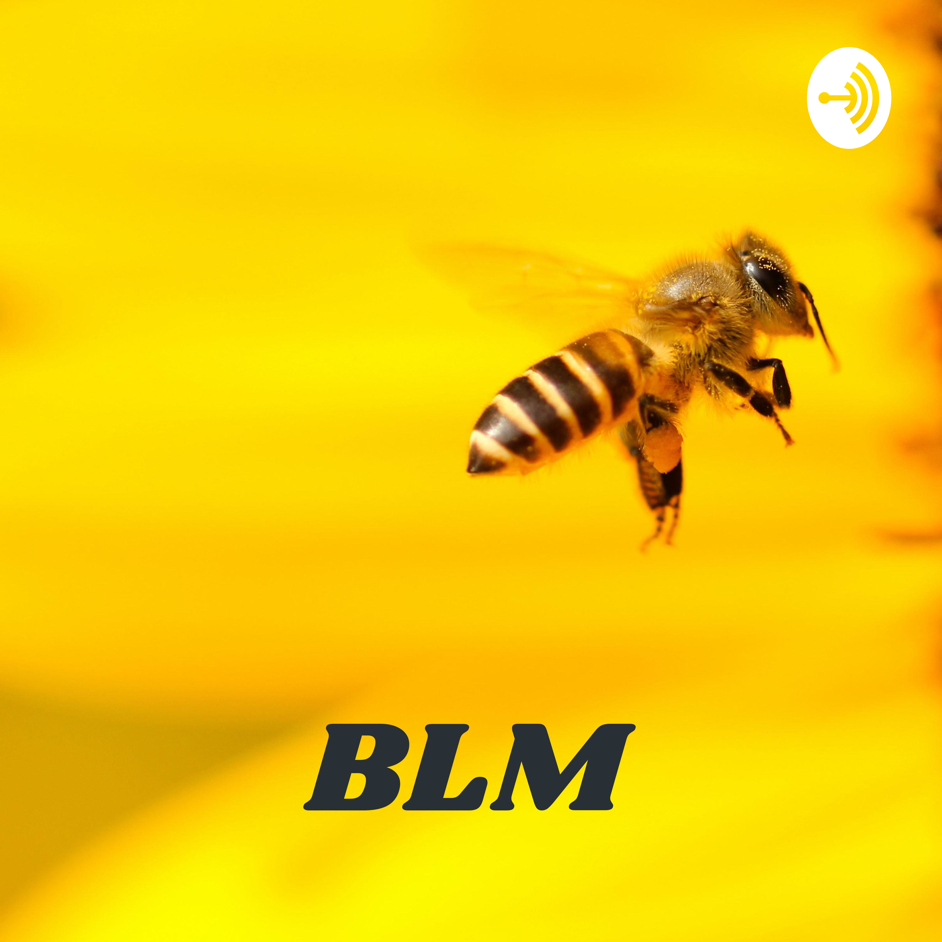 BLM: Bee Lives Matter