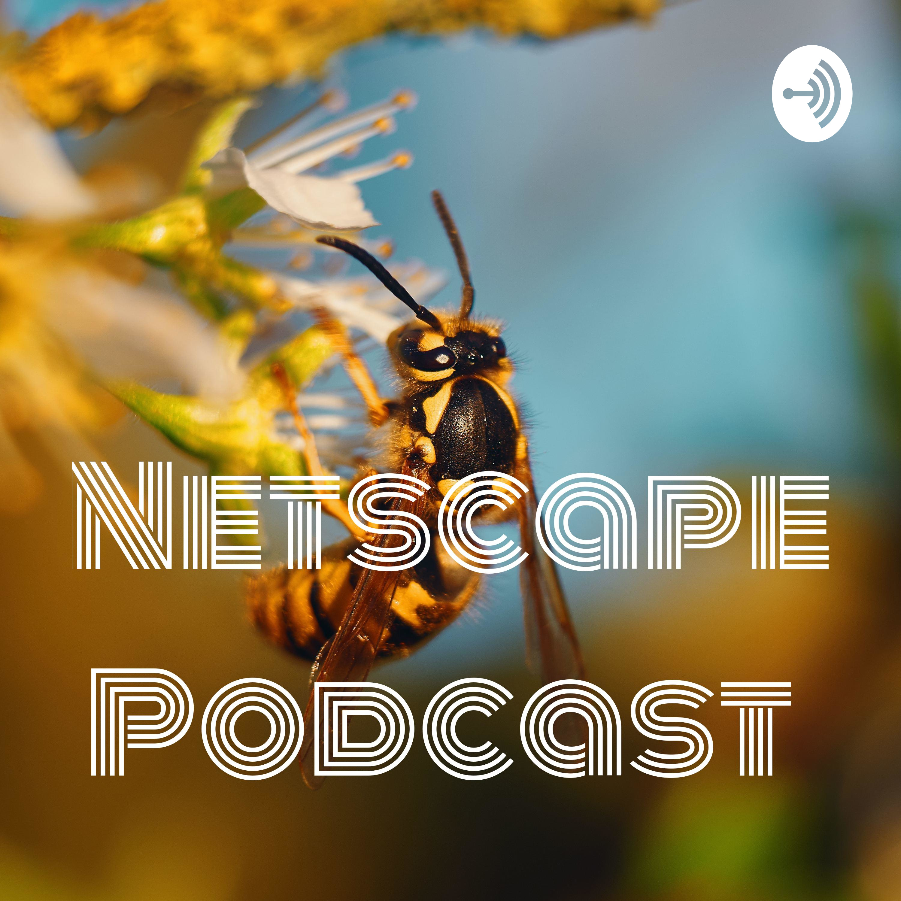 Netscape Podcast