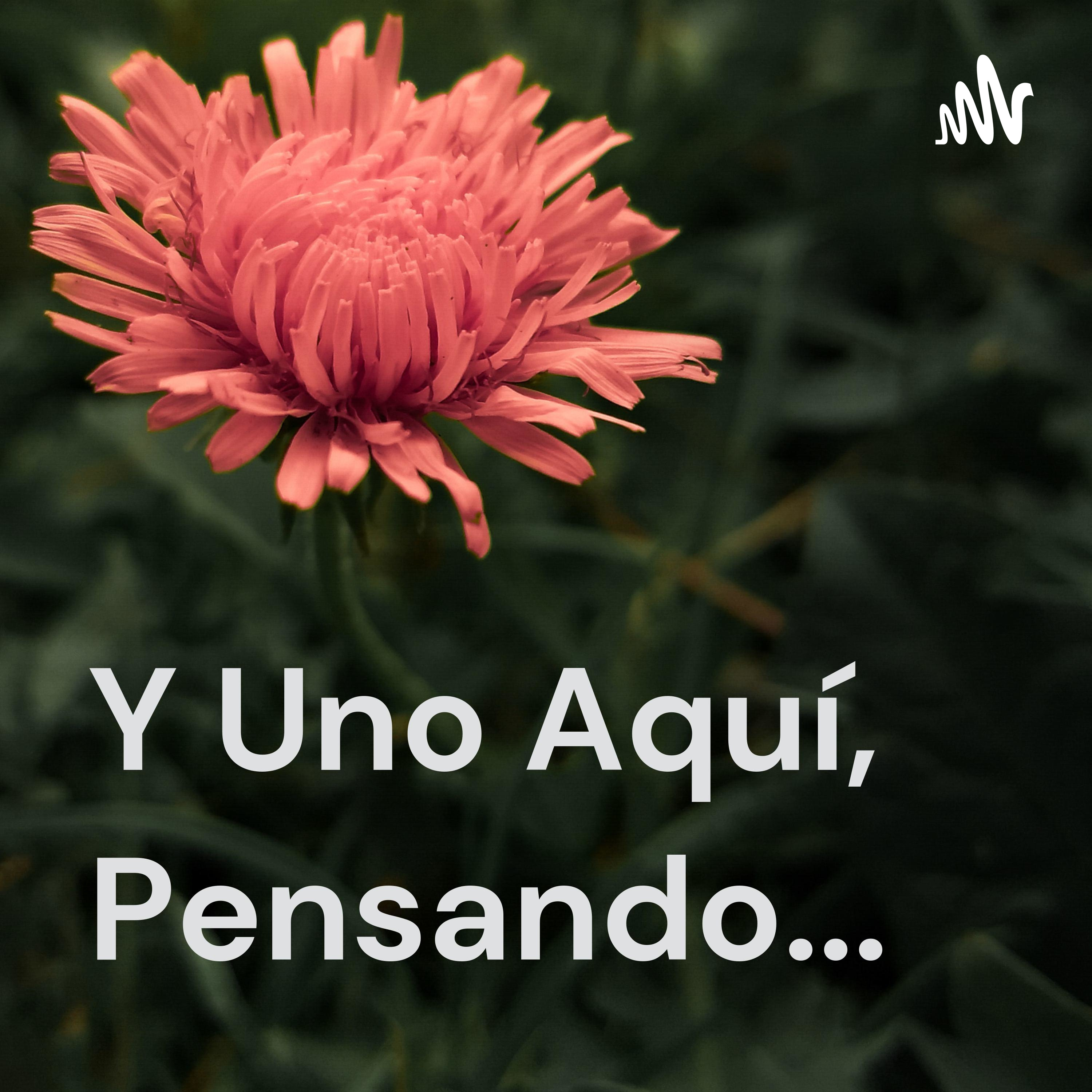 Y Uno Aquí, Pensando...