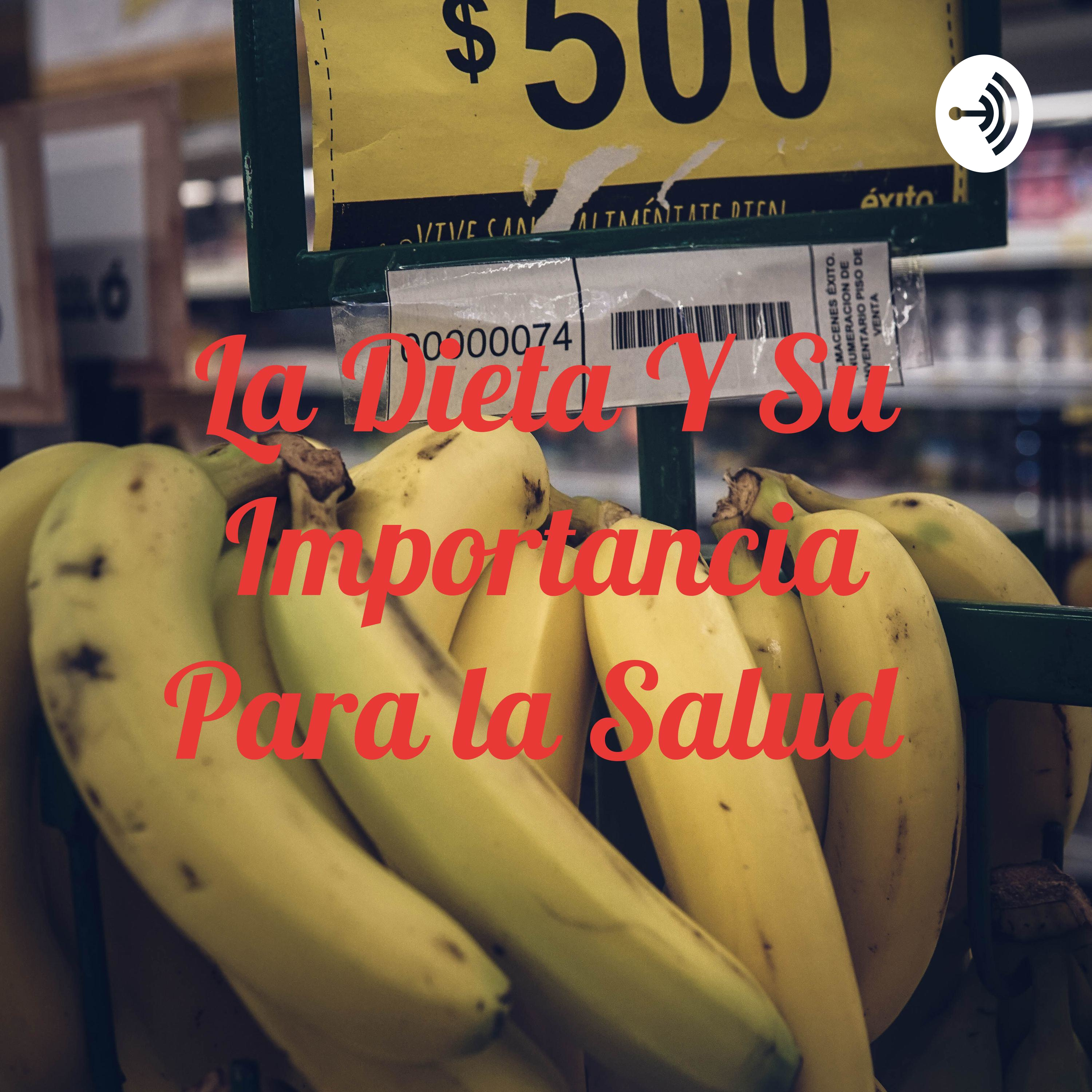 La Dieta Y Su Importancia Para la Salud