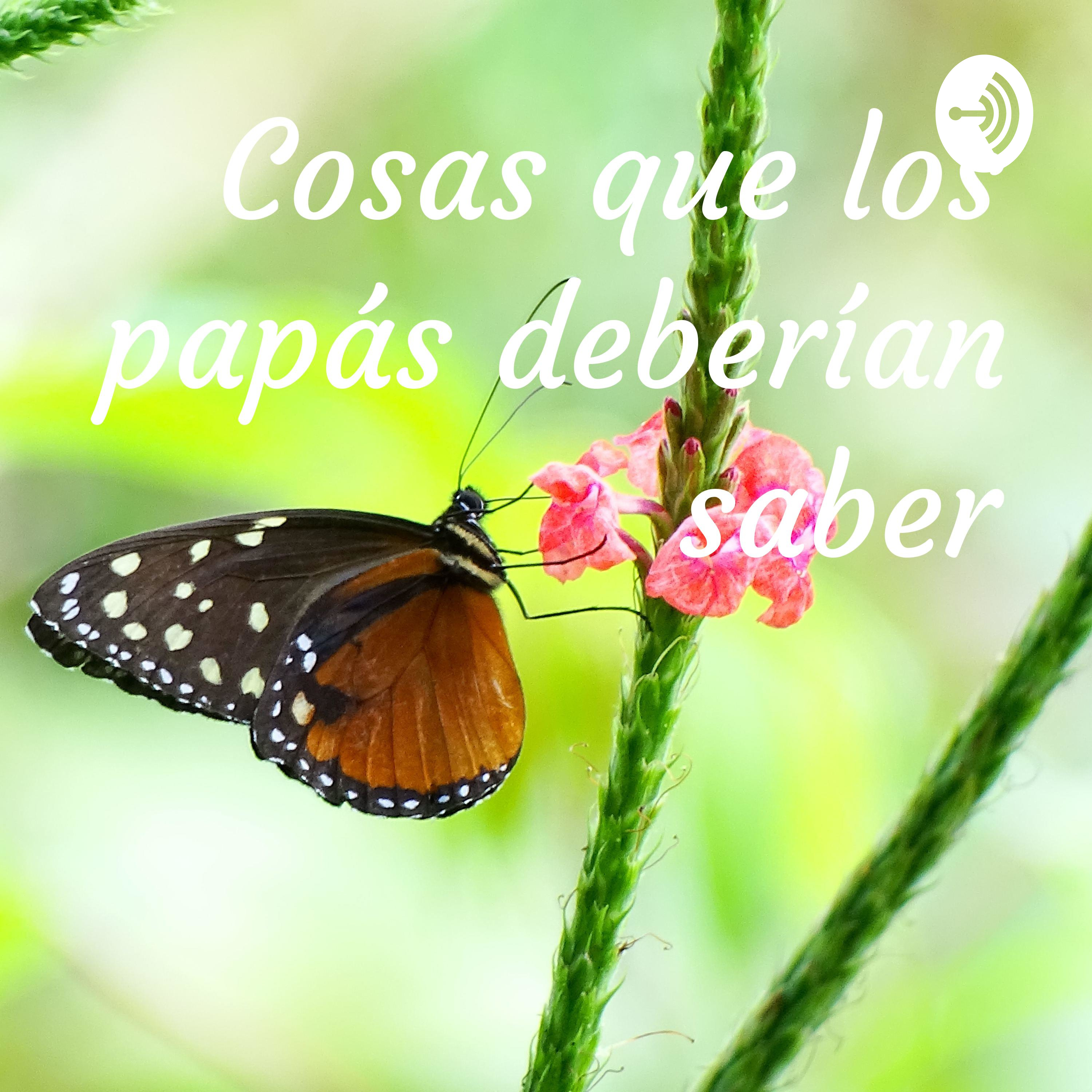 Cosas que los papás deberían saber