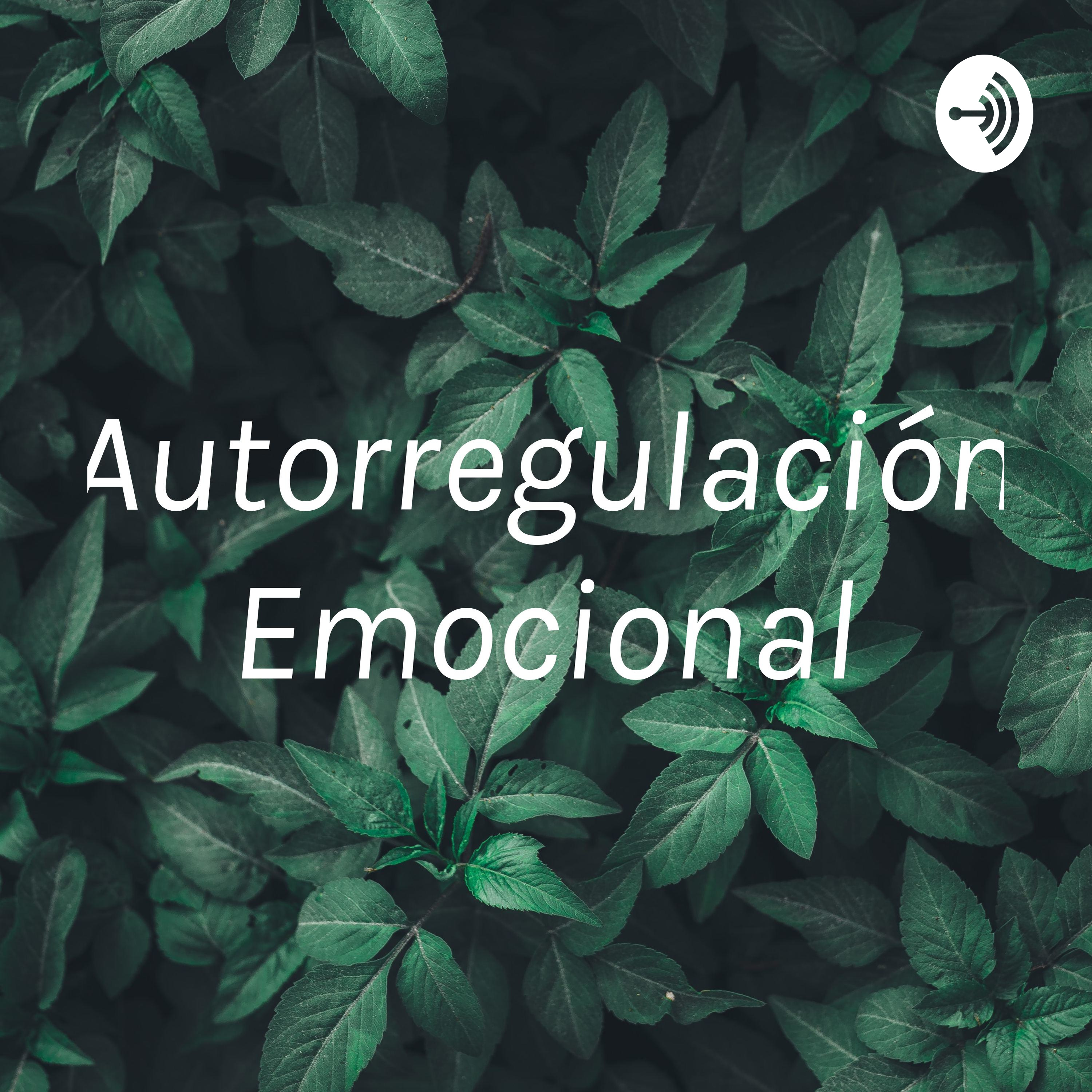 Autorregulación Emocional