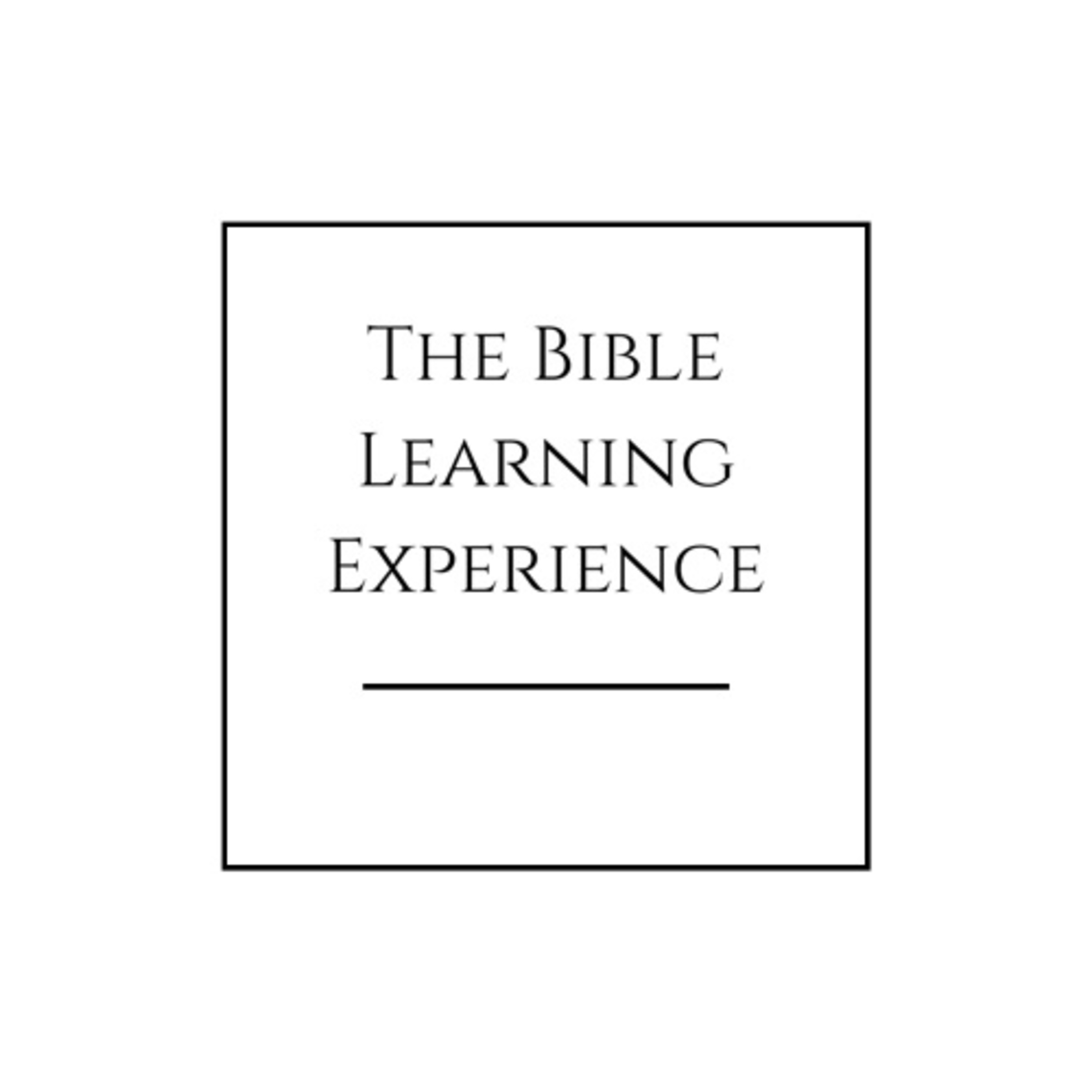 The Bible Learning Experience