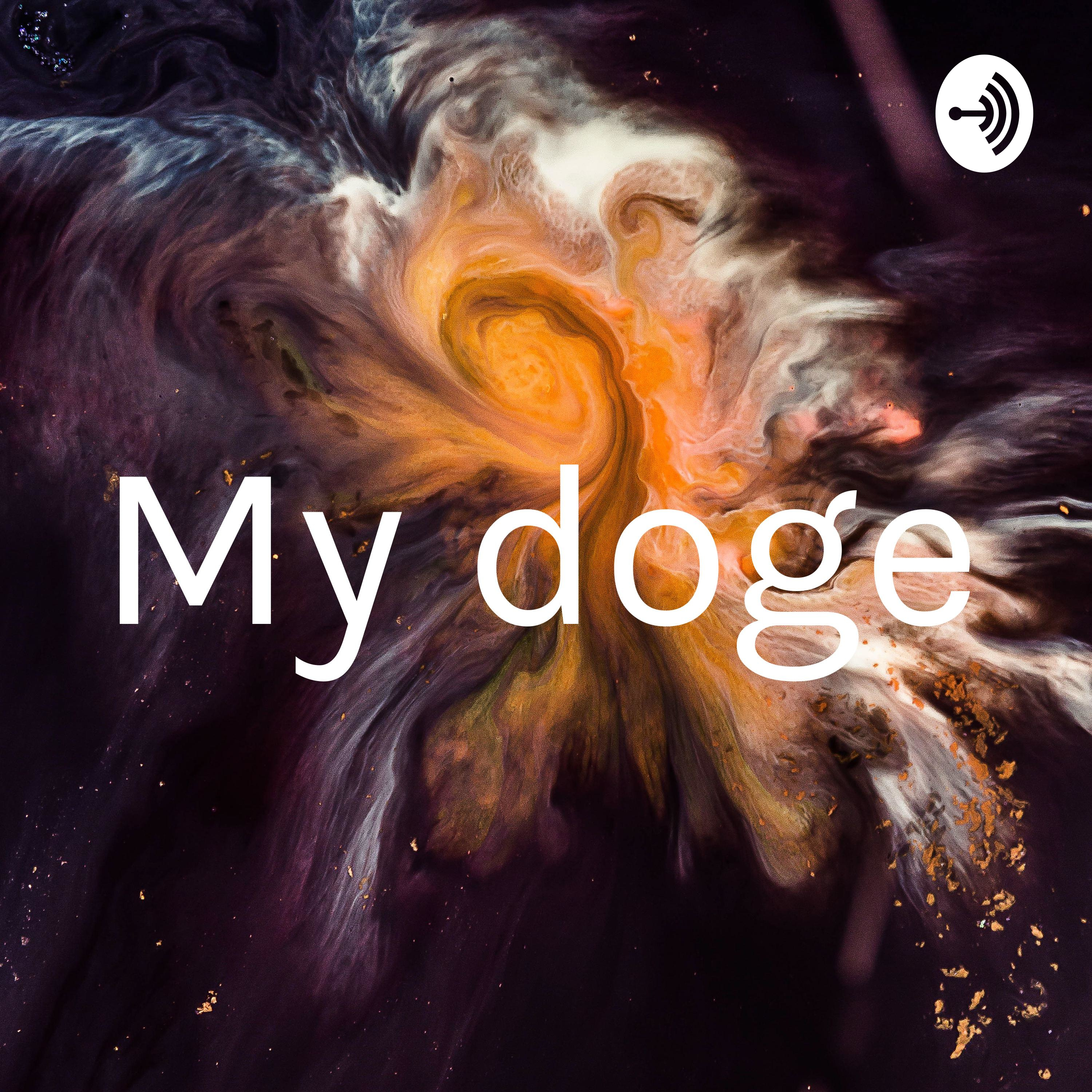 My doge