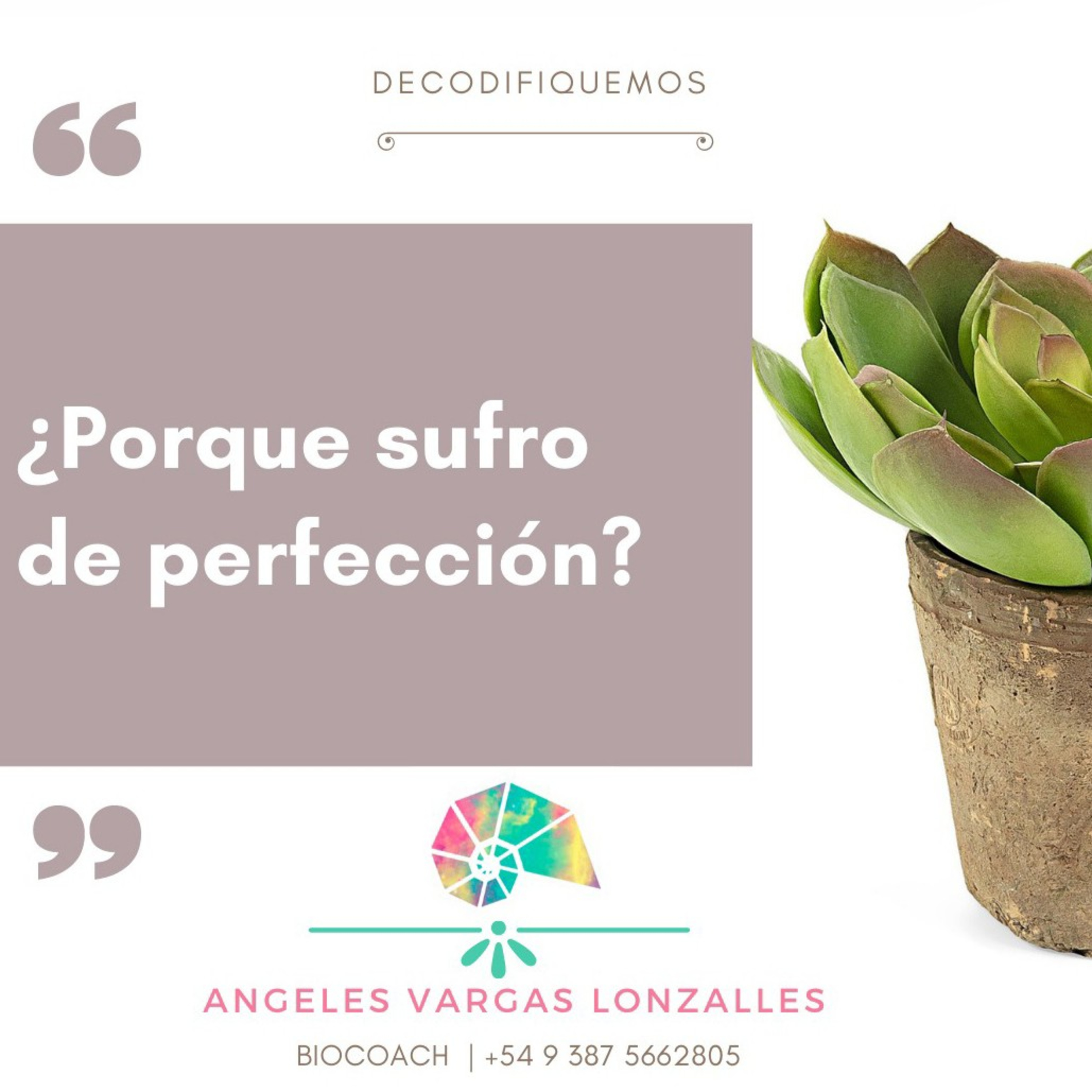 Delirio De Perfección