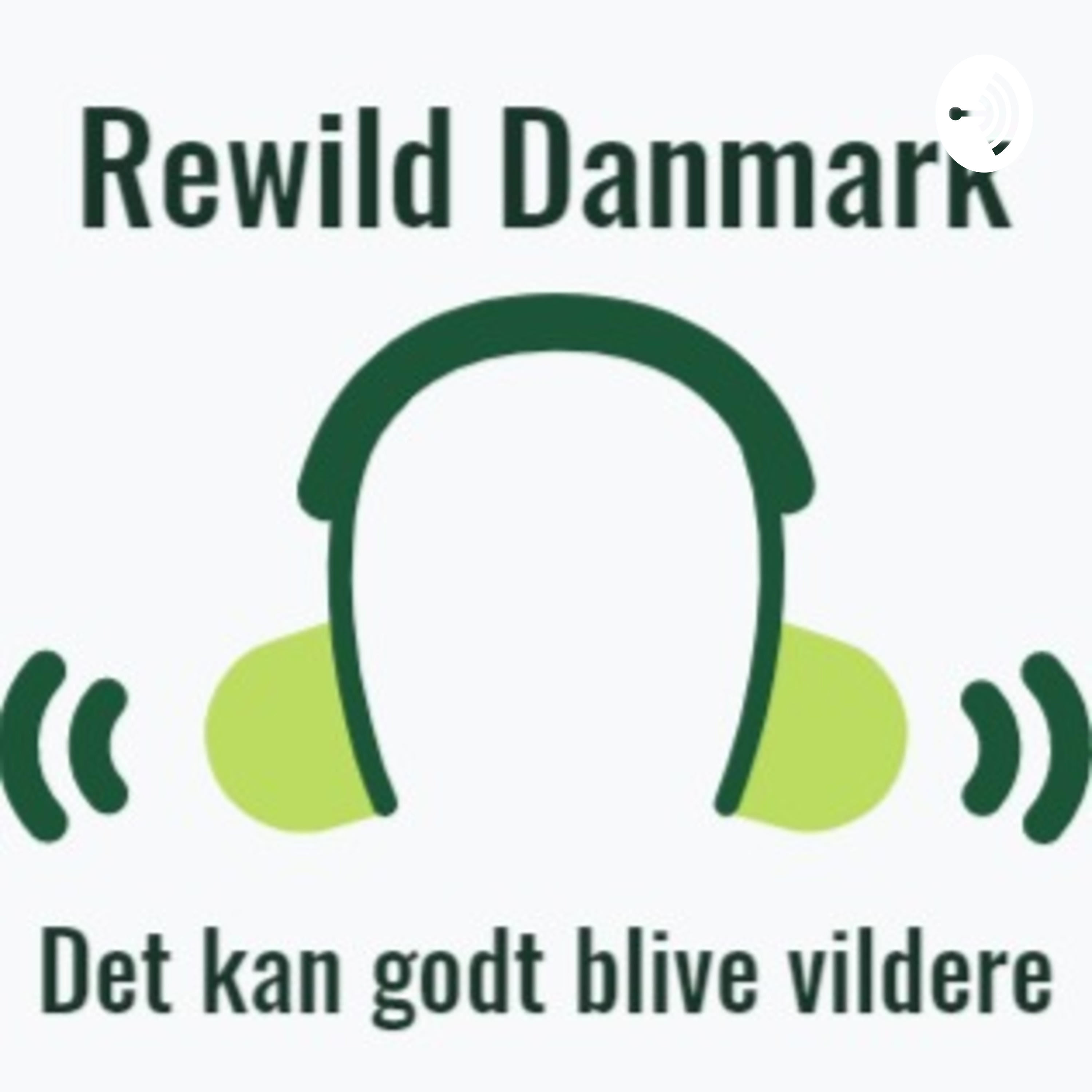 Rewild Danmark - Det kan godt blive vildere af Malene Rahbek