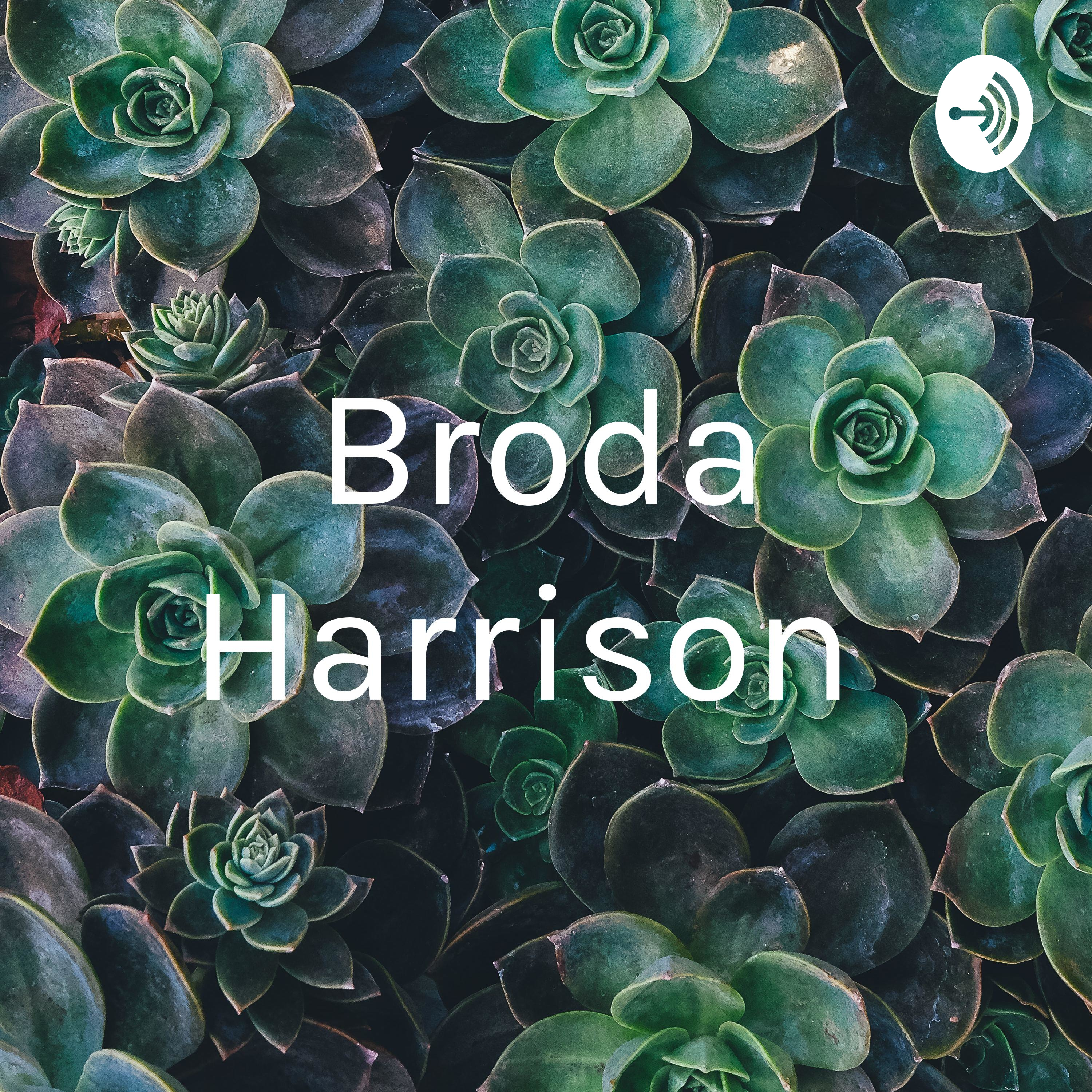 Broda Harrison 