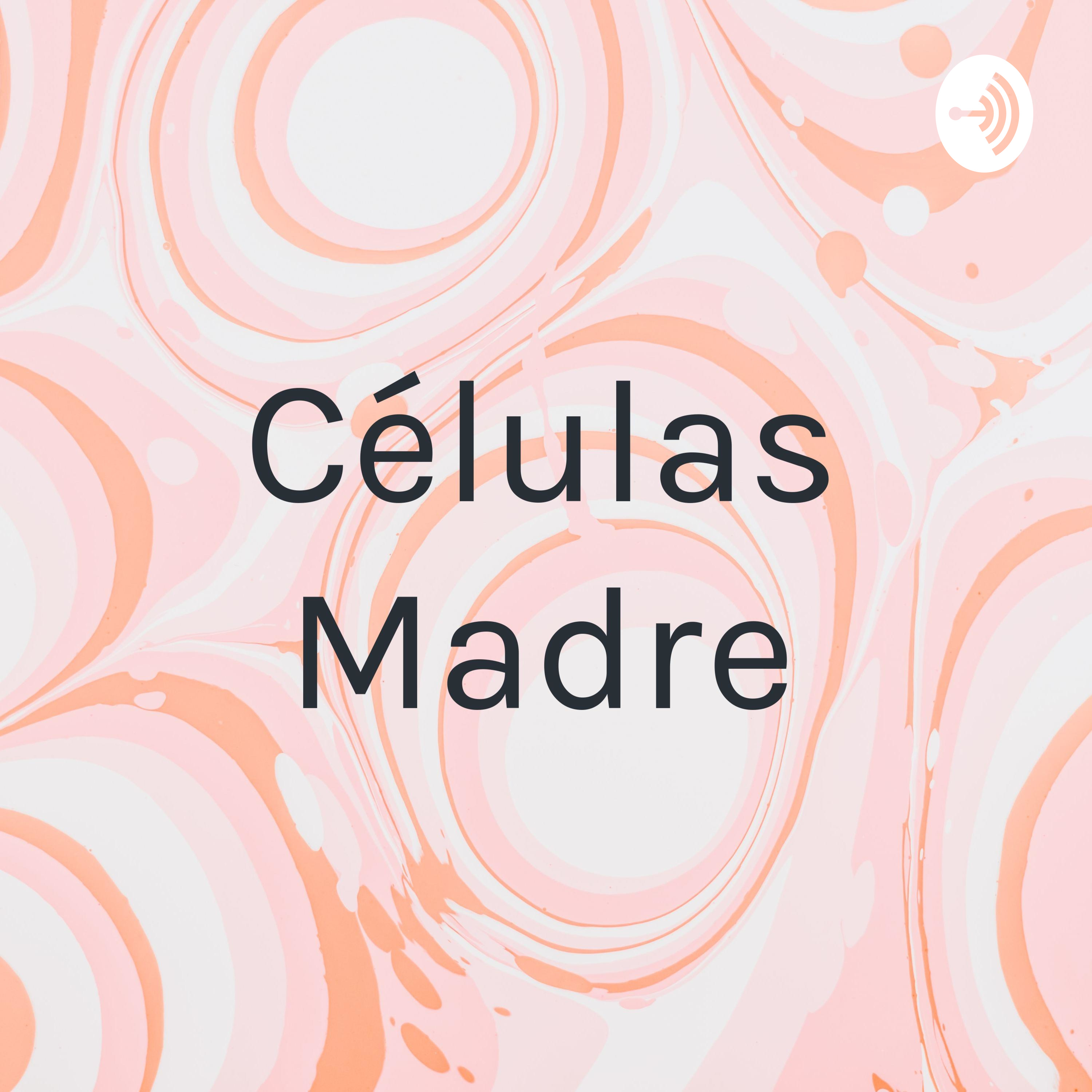 Células Madre
