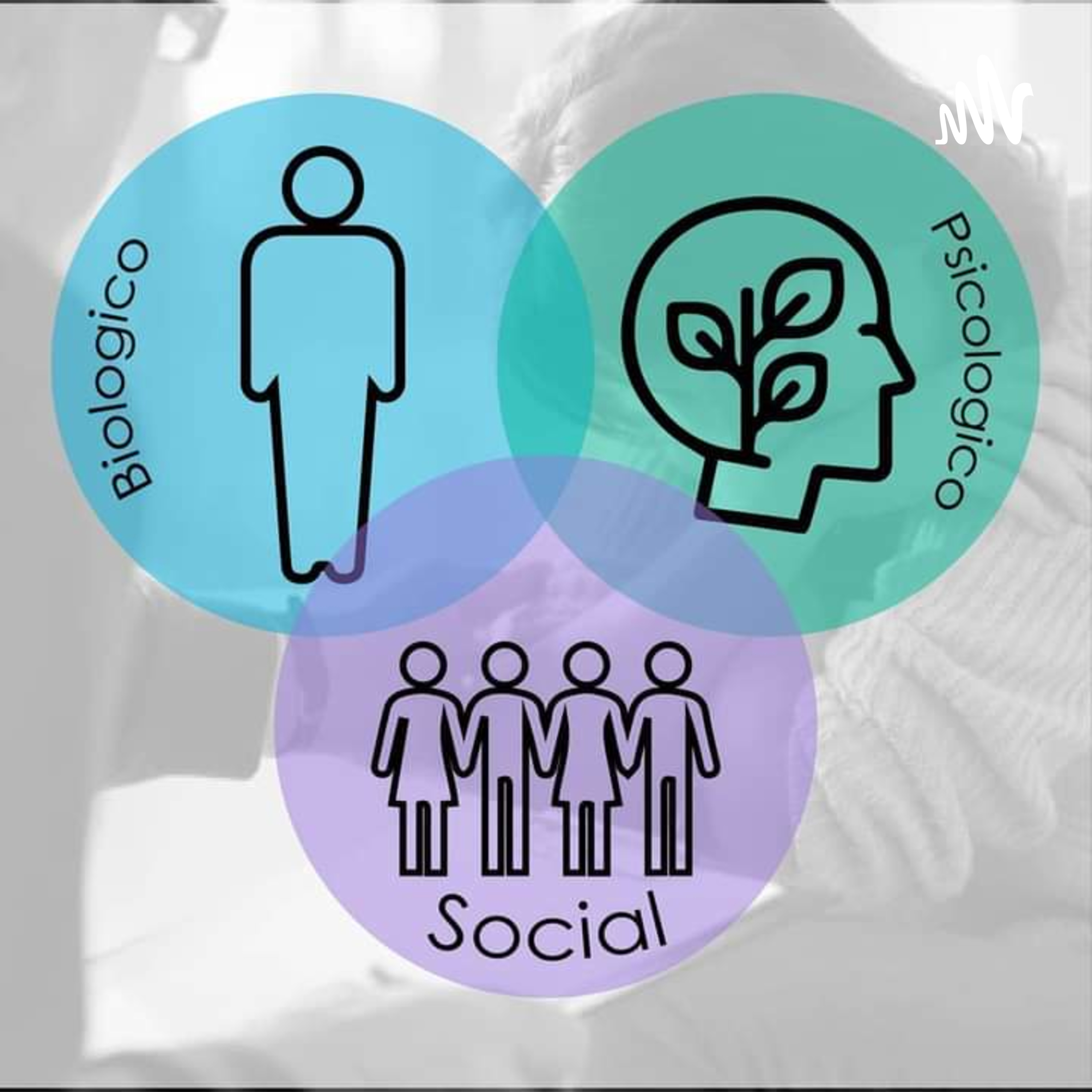 Modelo biopsicosocial 