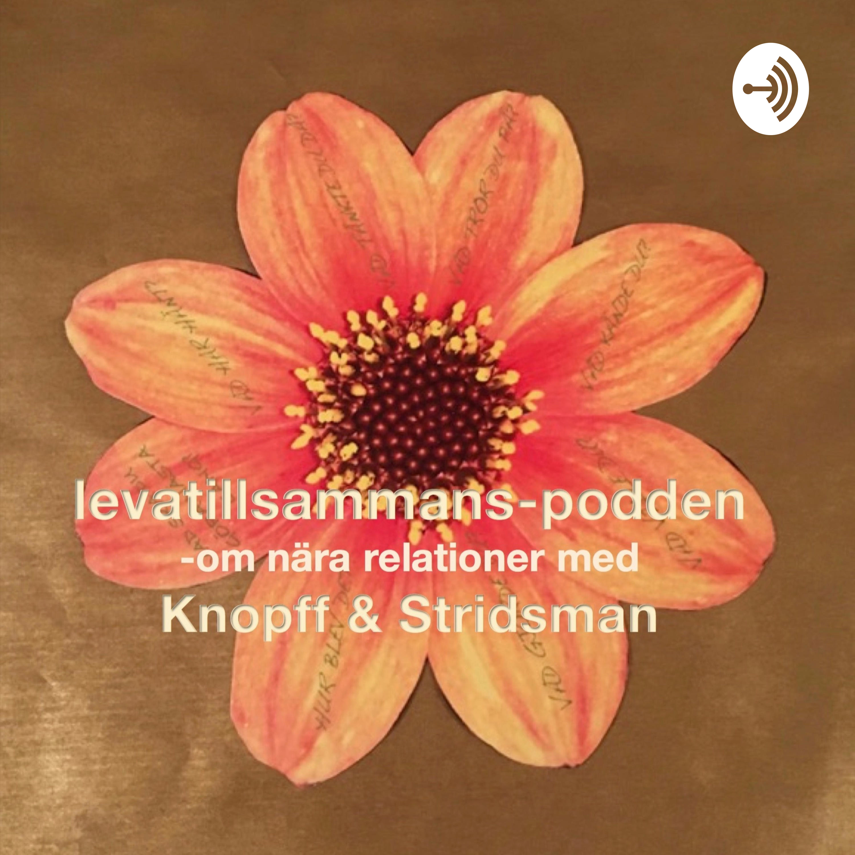 Avsnitt 9: Paranalys - om kommunikation. Lite statistik och ledtrådar till dig som vill undvika en sur partner.