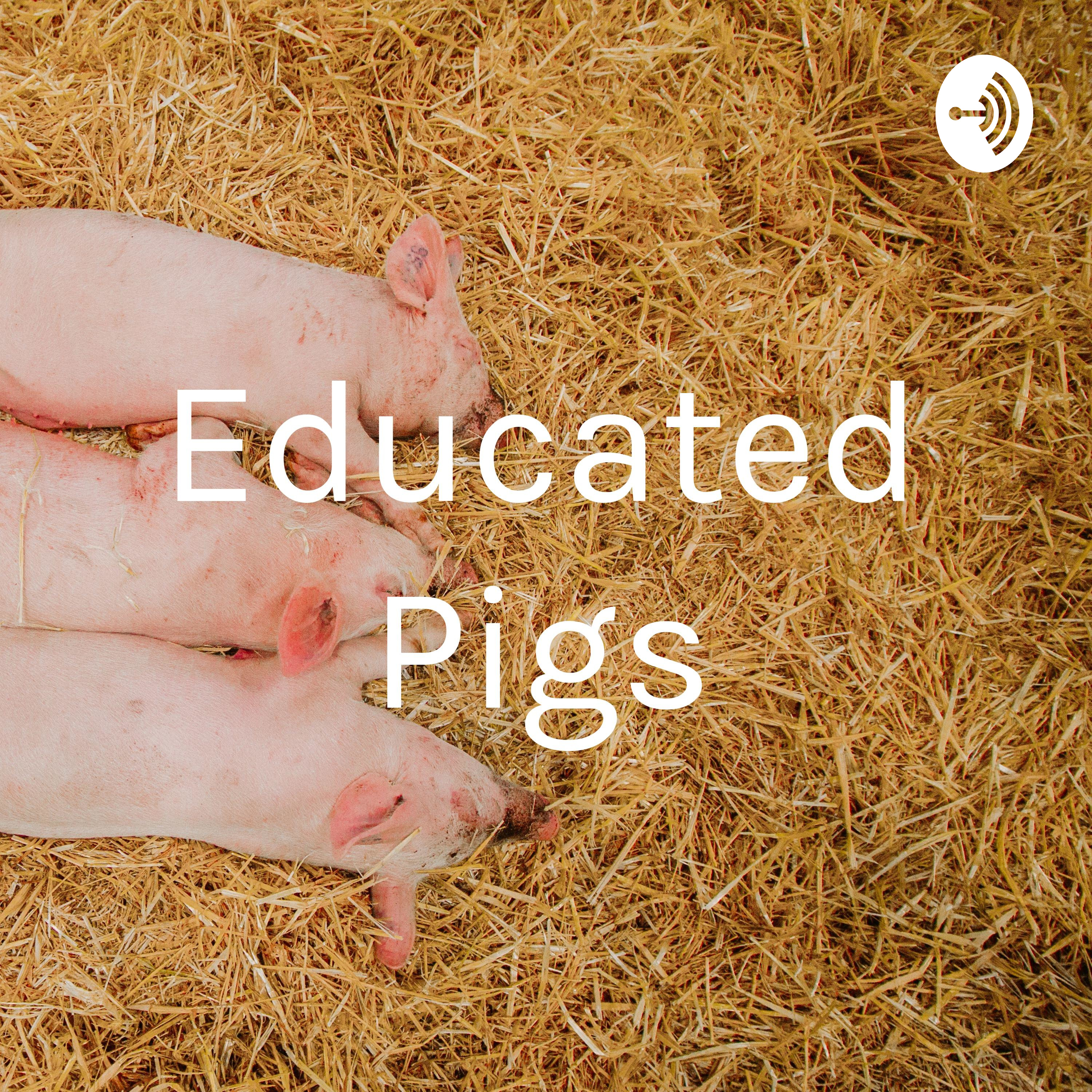 Educated Pigs