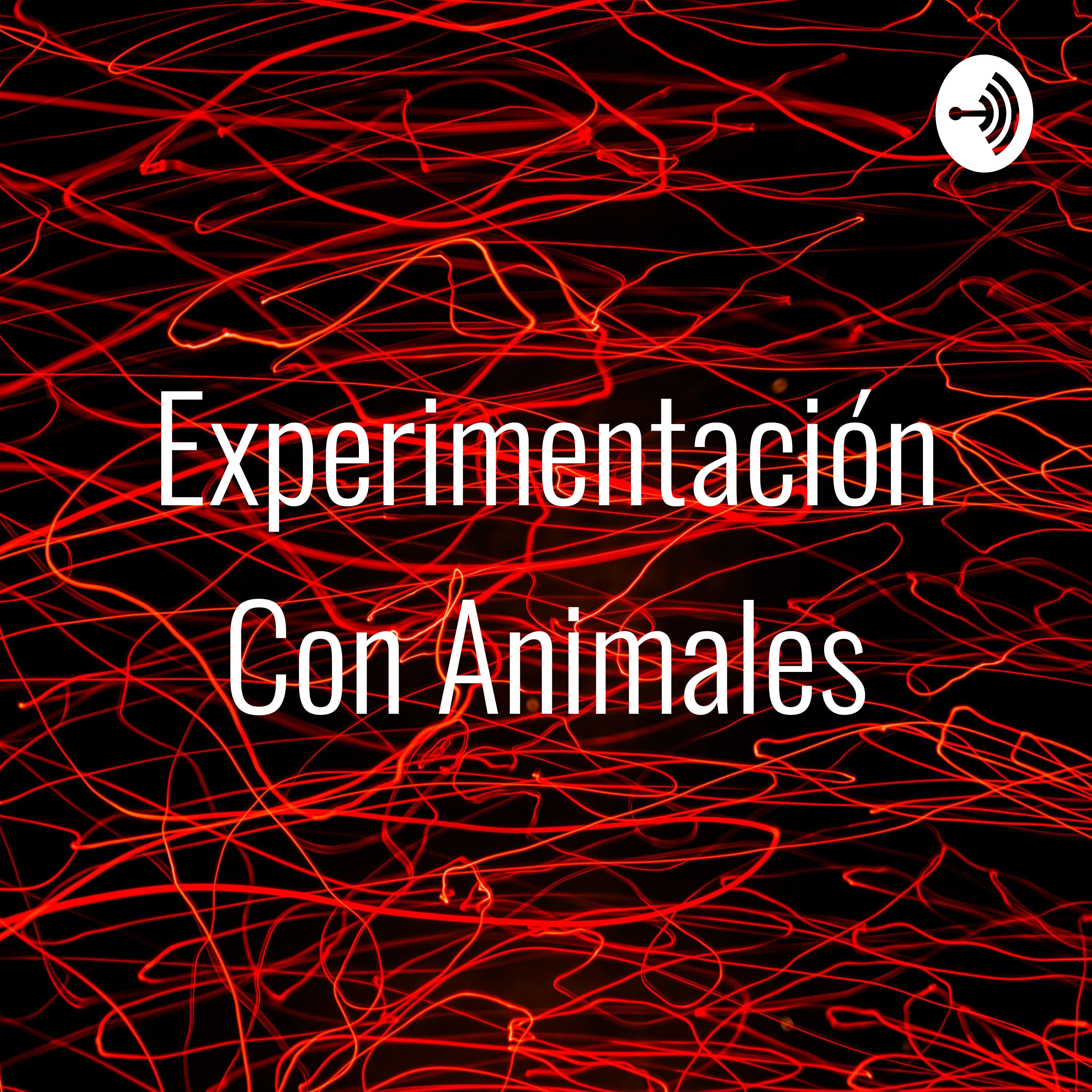 Experimentación Con Animales podcast artwork