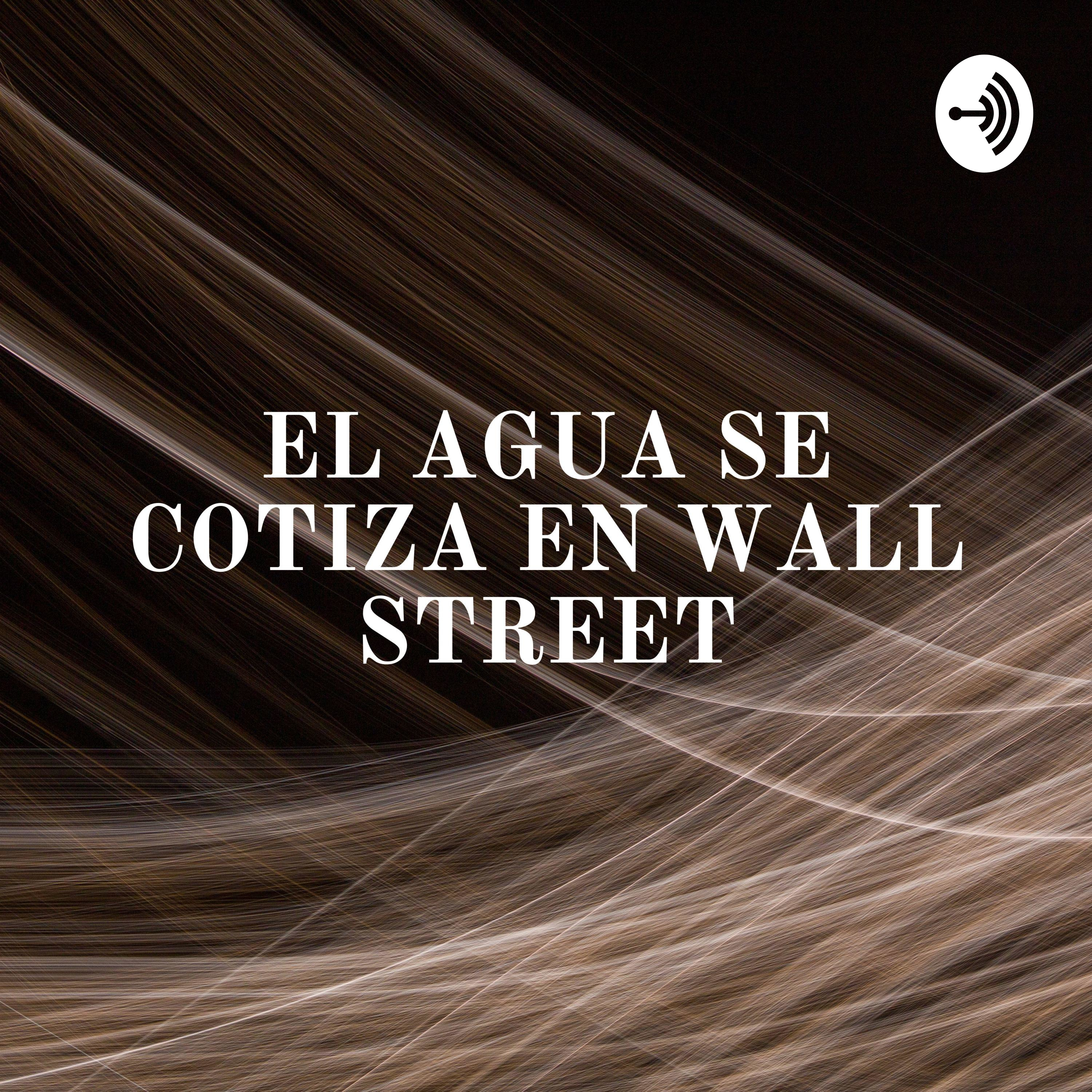EL AGUA SE COTIZA EN WALL STREET: UN LLAMADO DE ATENCIÓN