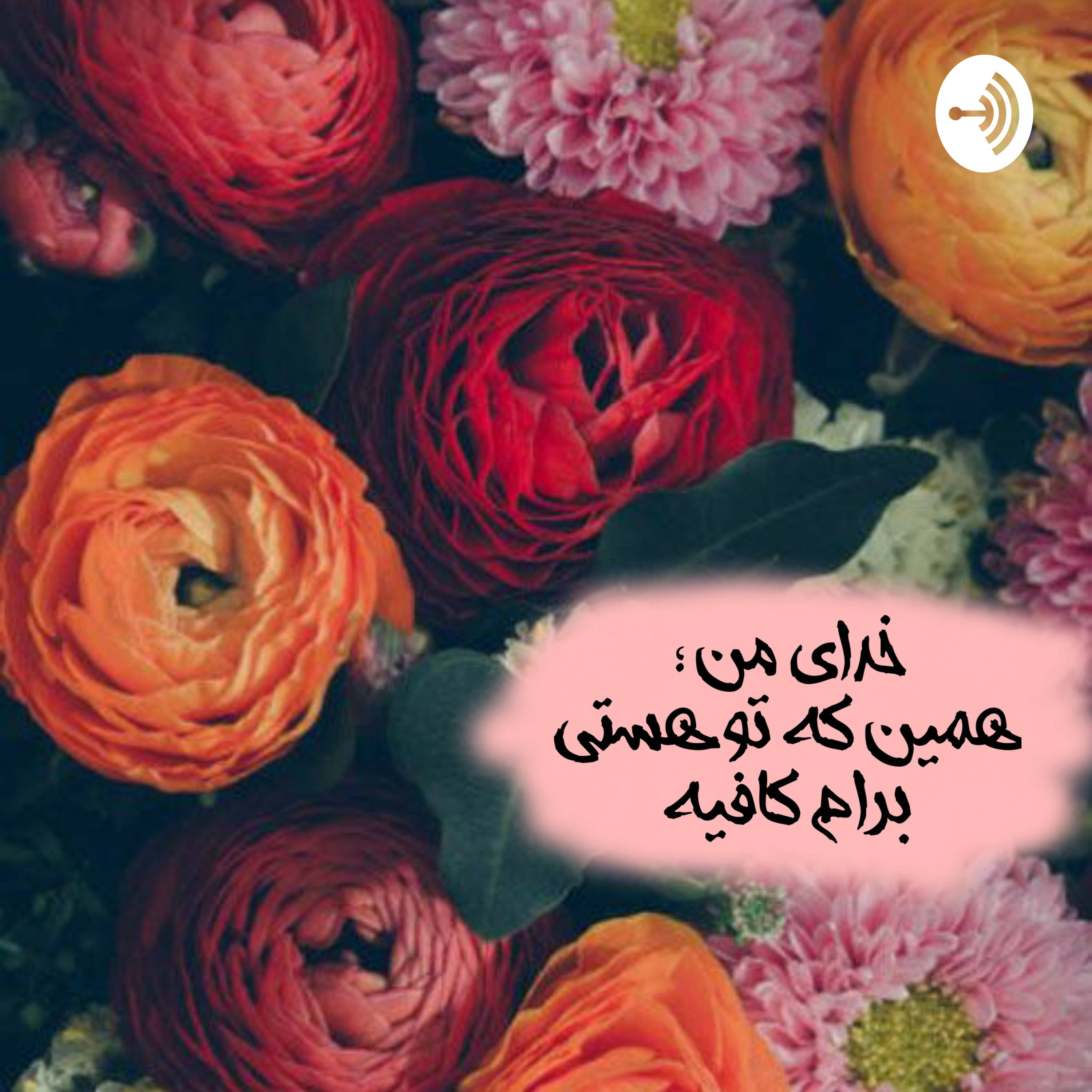 کاور تواضع🌺