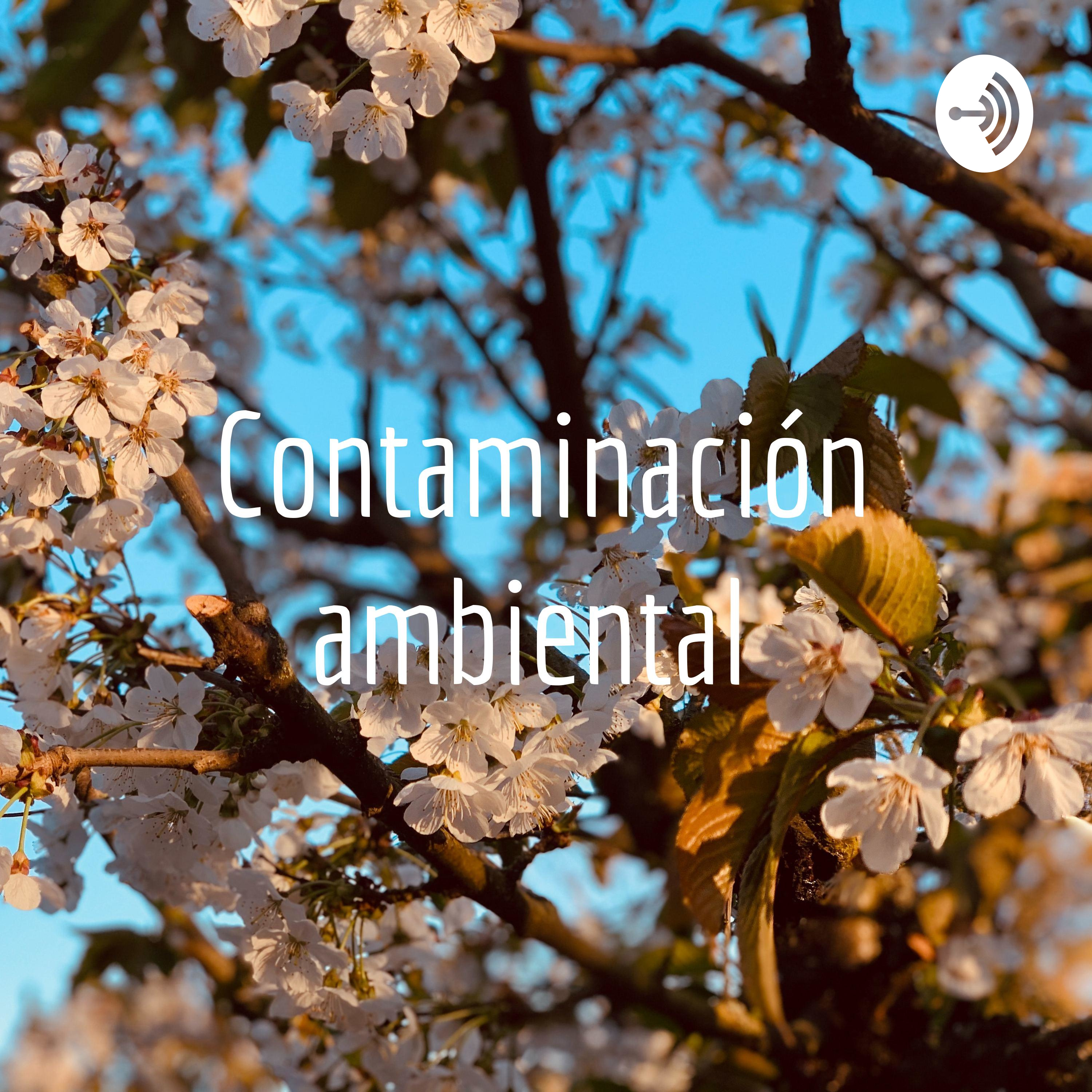 Contaminación ambiental
