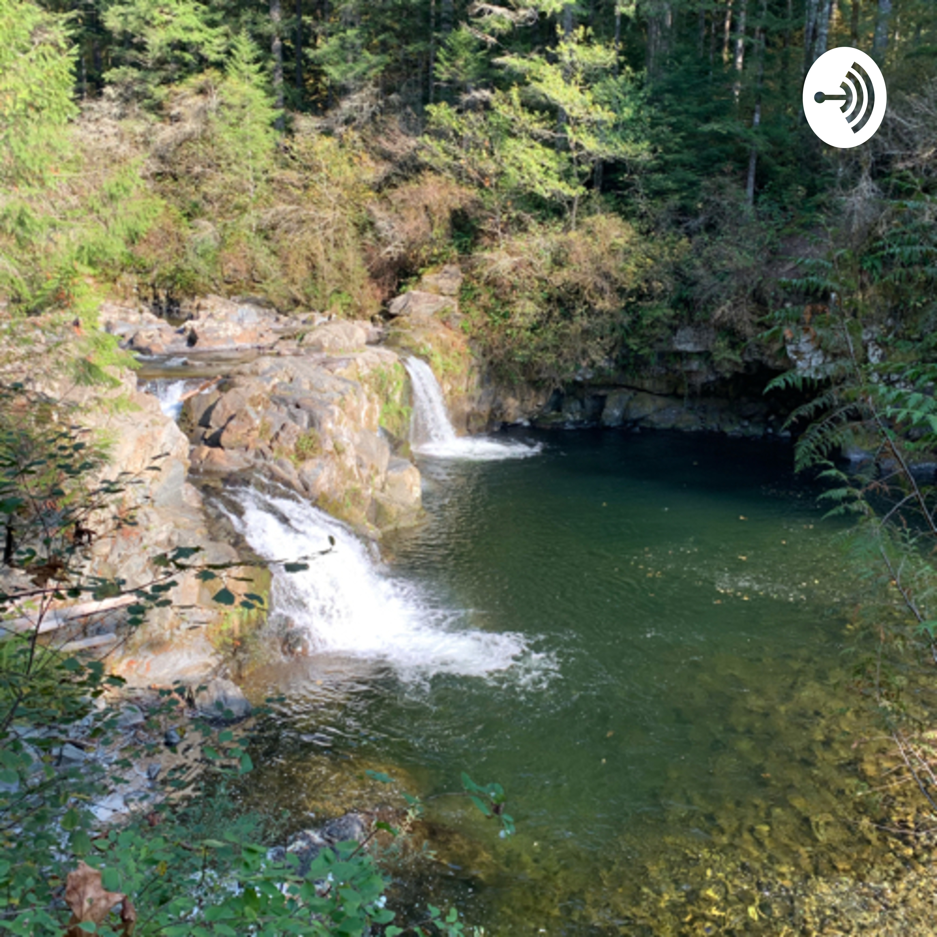 Guided Meditation for calm, focus, and connectedness 