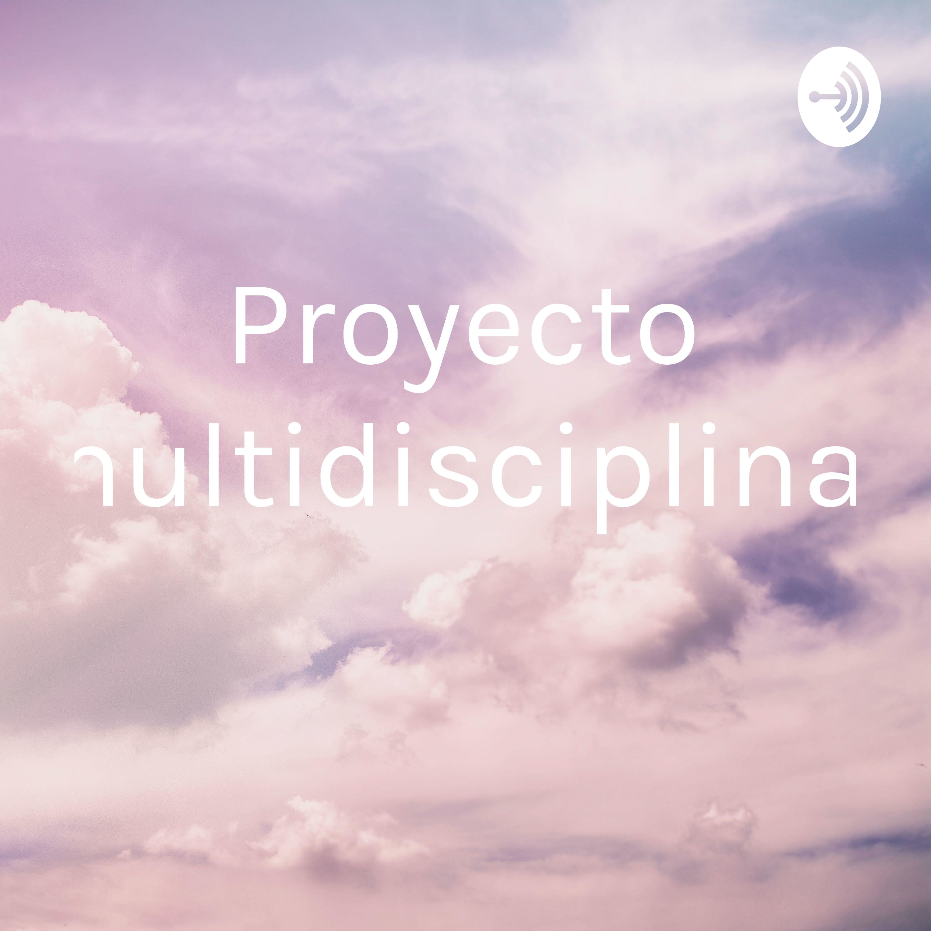 Proyecto multidisciplinar
