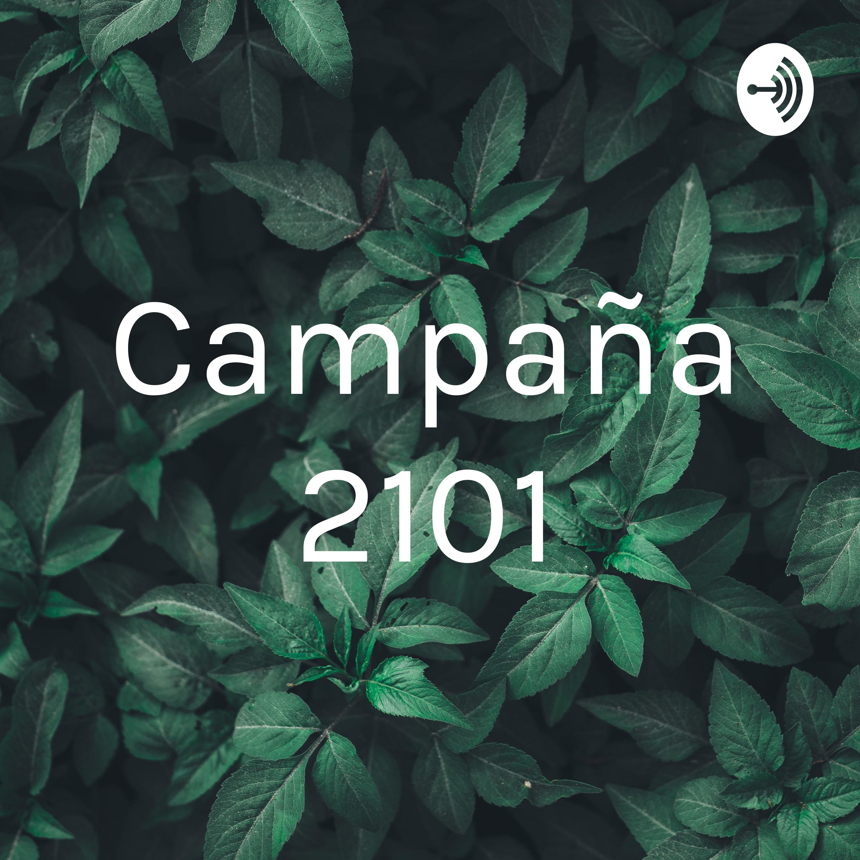 Campaña 2101