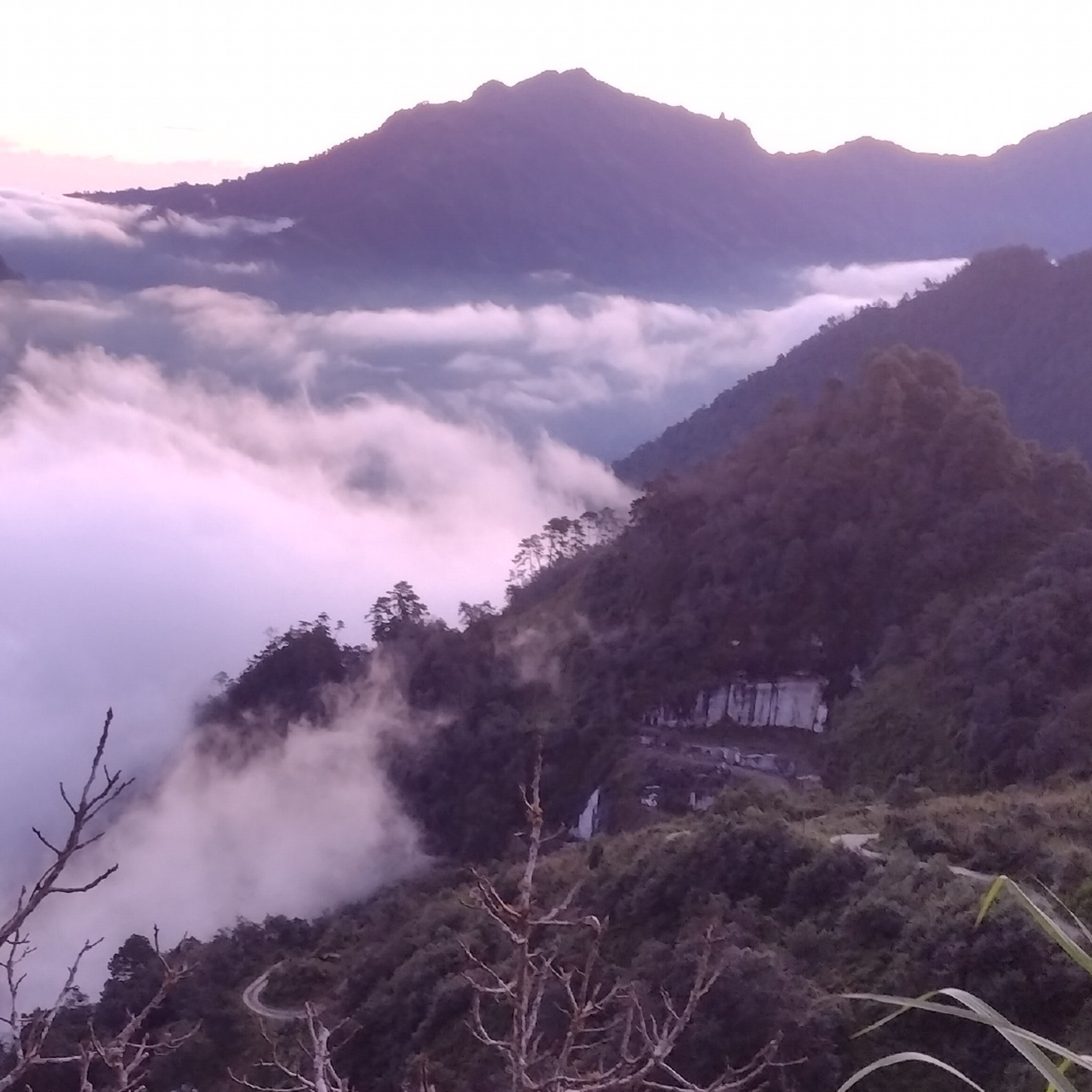 Un Poco De Depresión