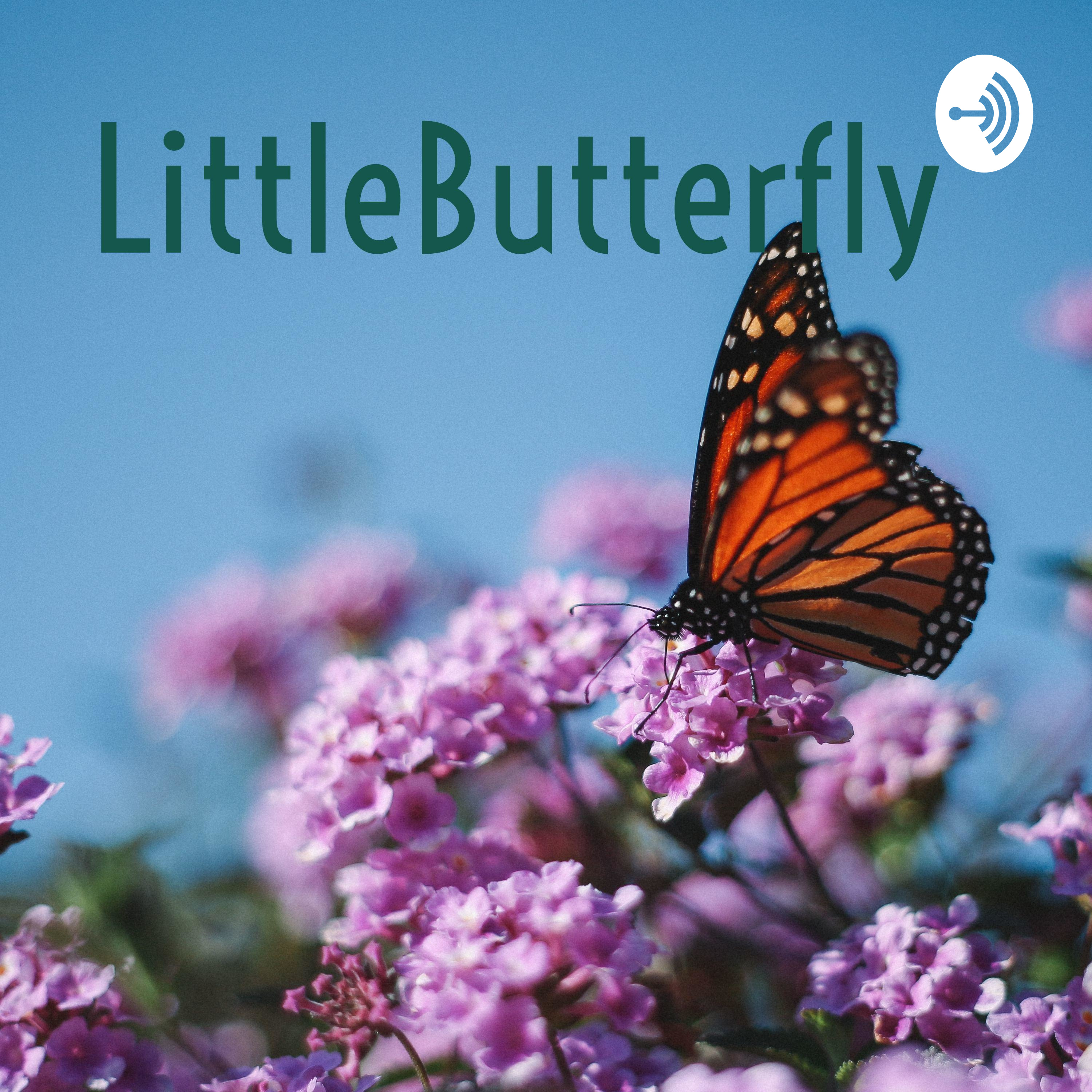 LittleButterfly