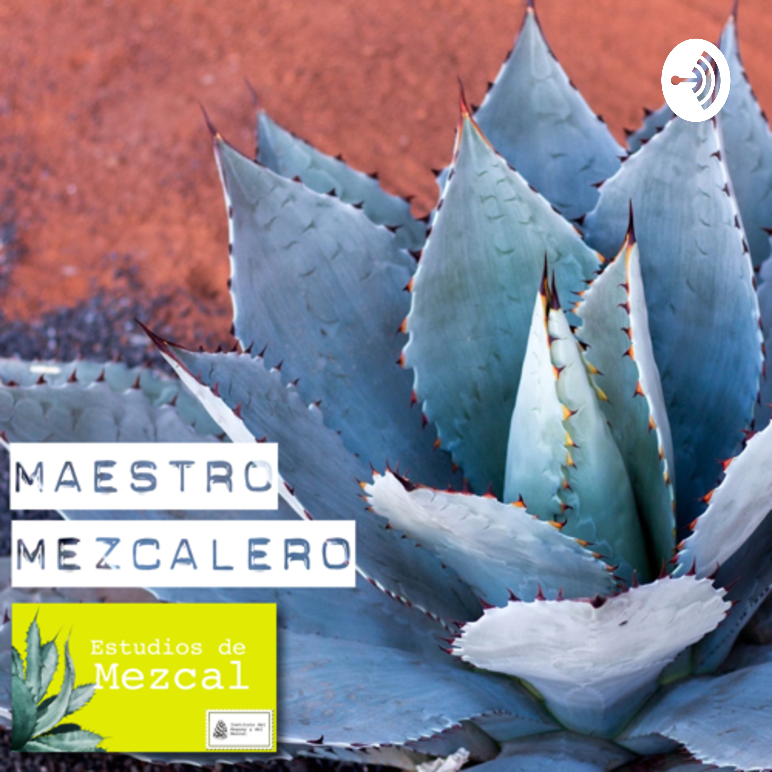 Maestro Mezcalero 