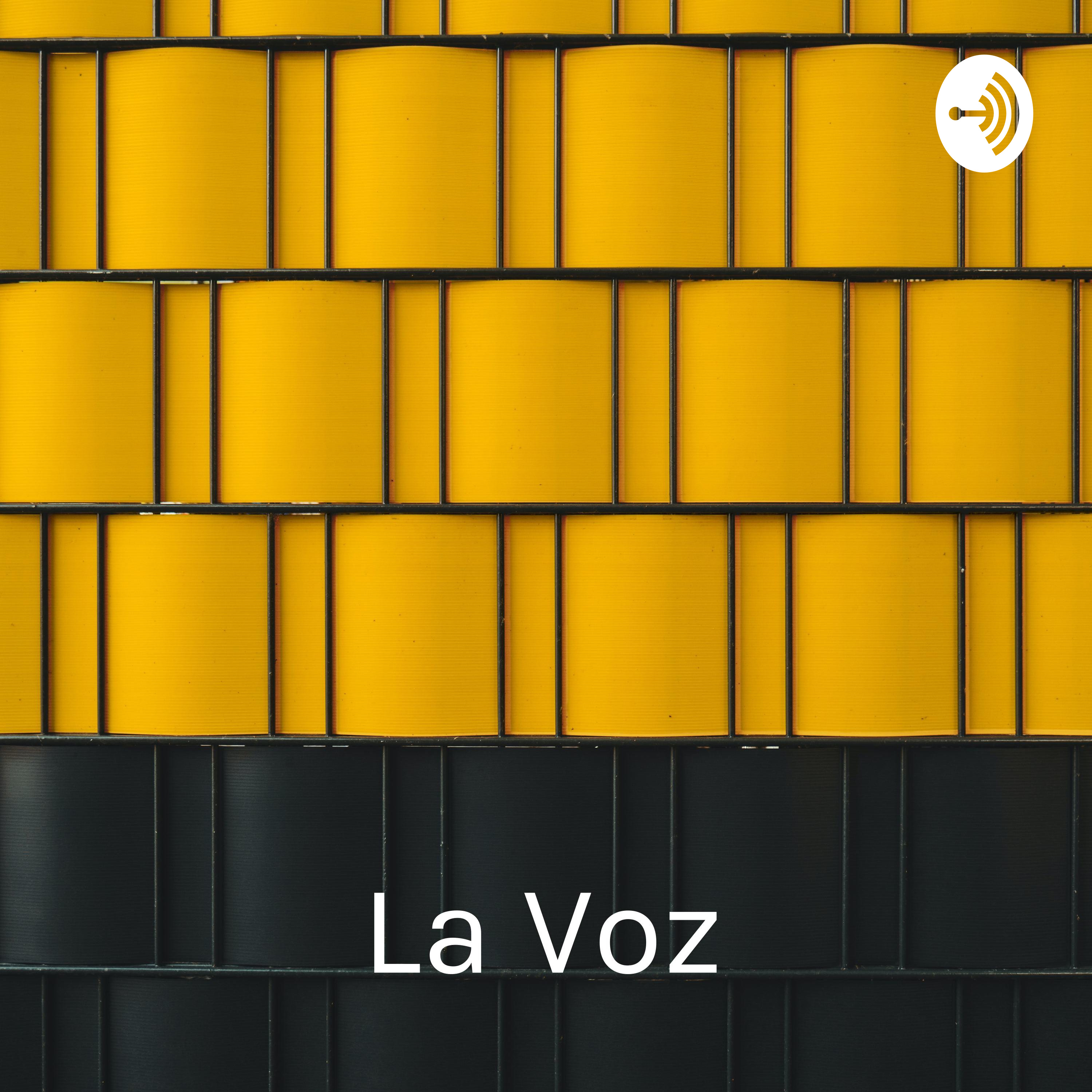 La Voz - Tipos De Voces - Música - Planos Sonoros
