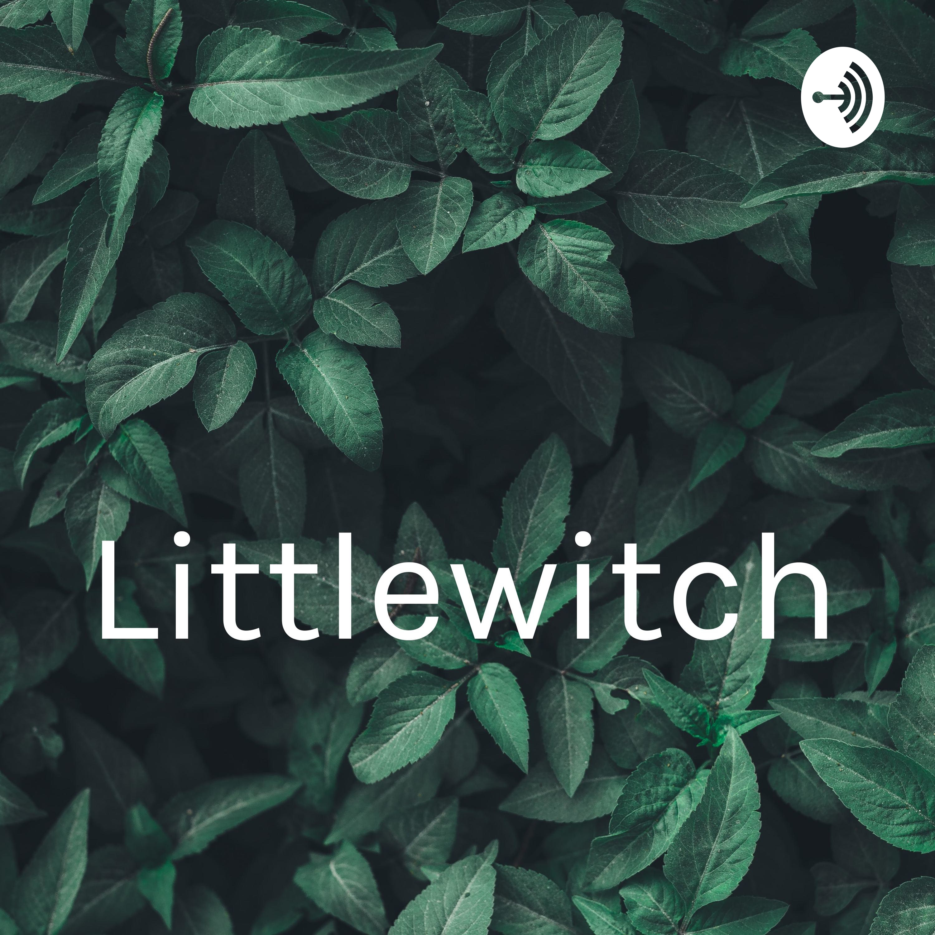 Littlewitch 