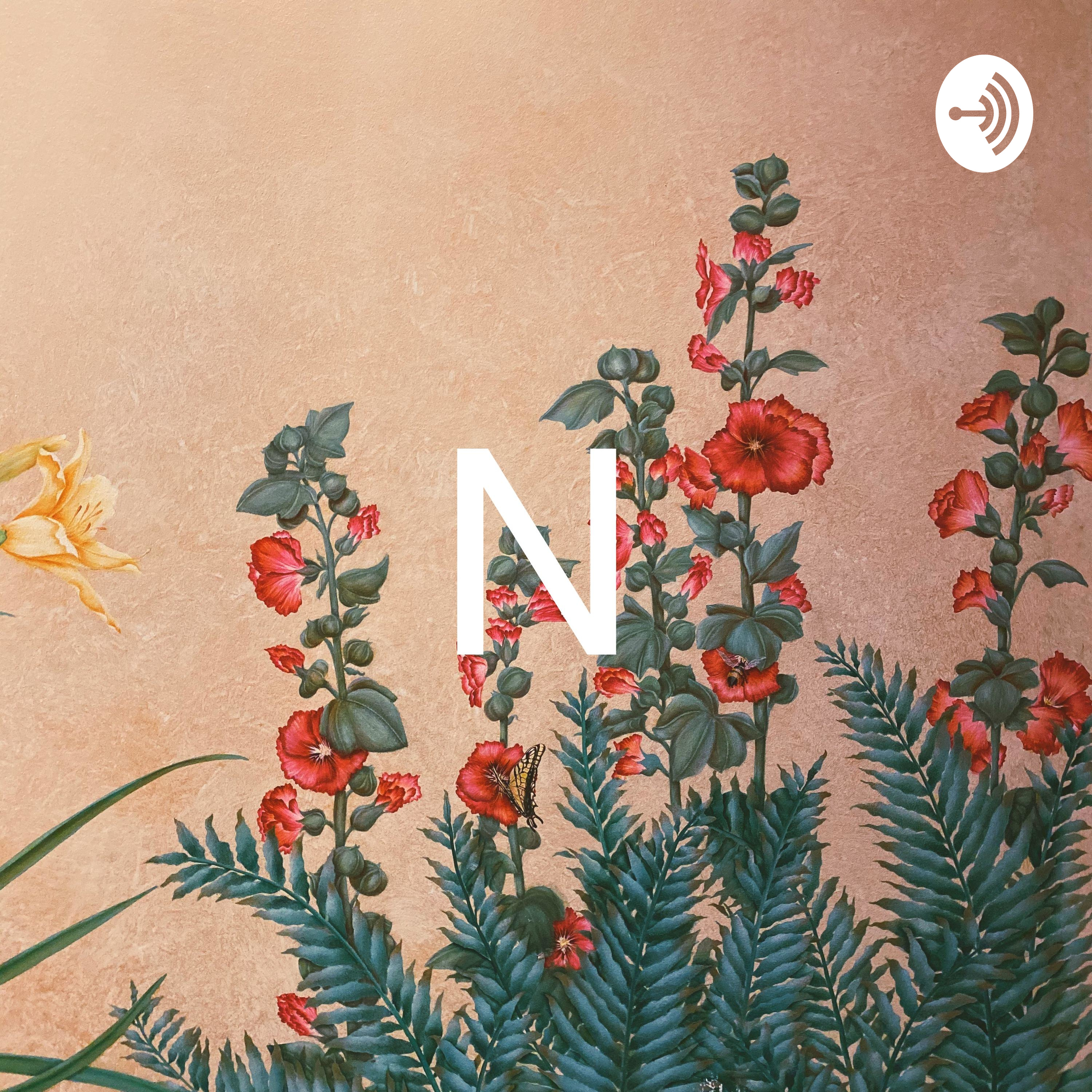 N podcast artwork