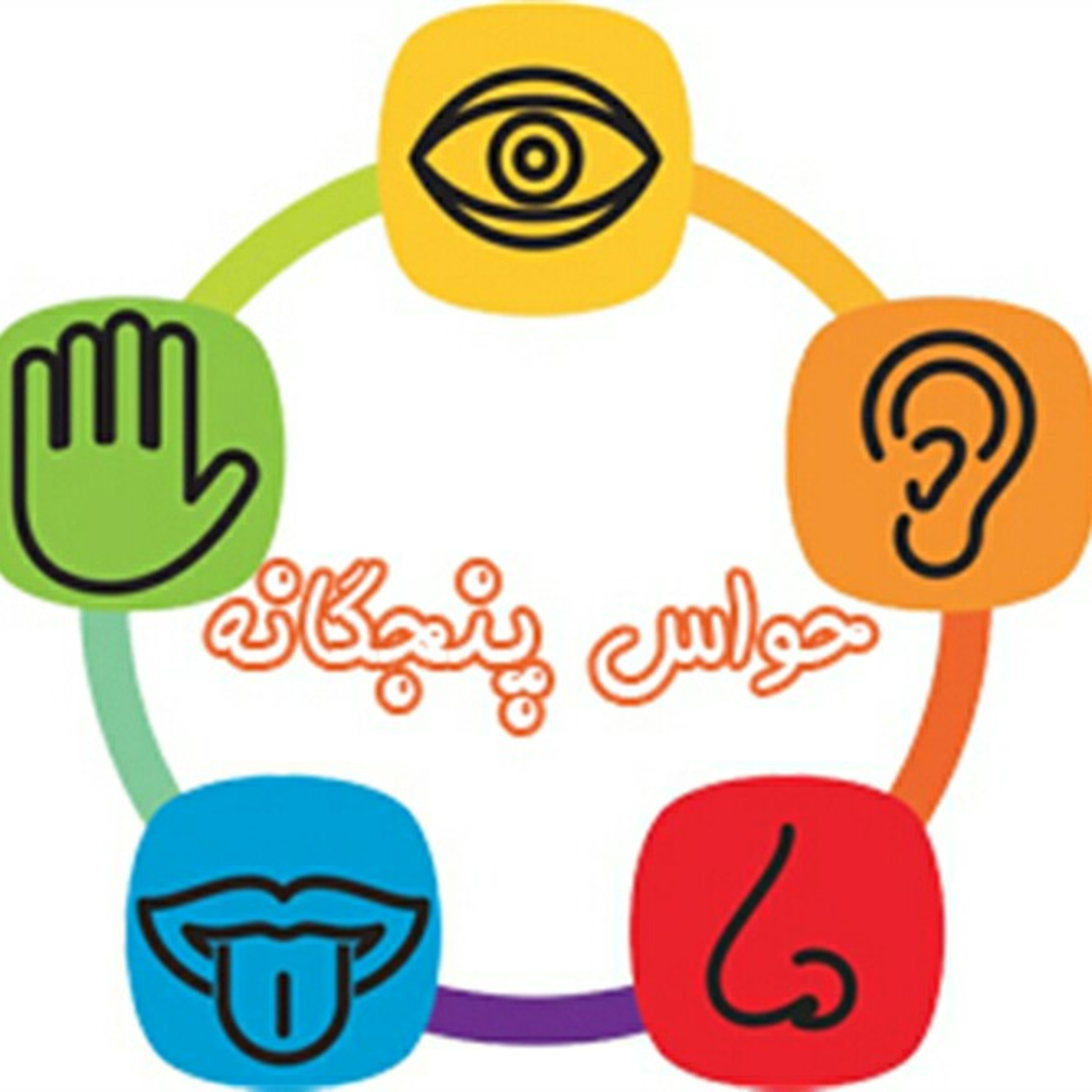کاور قصه حواس پنج گانه