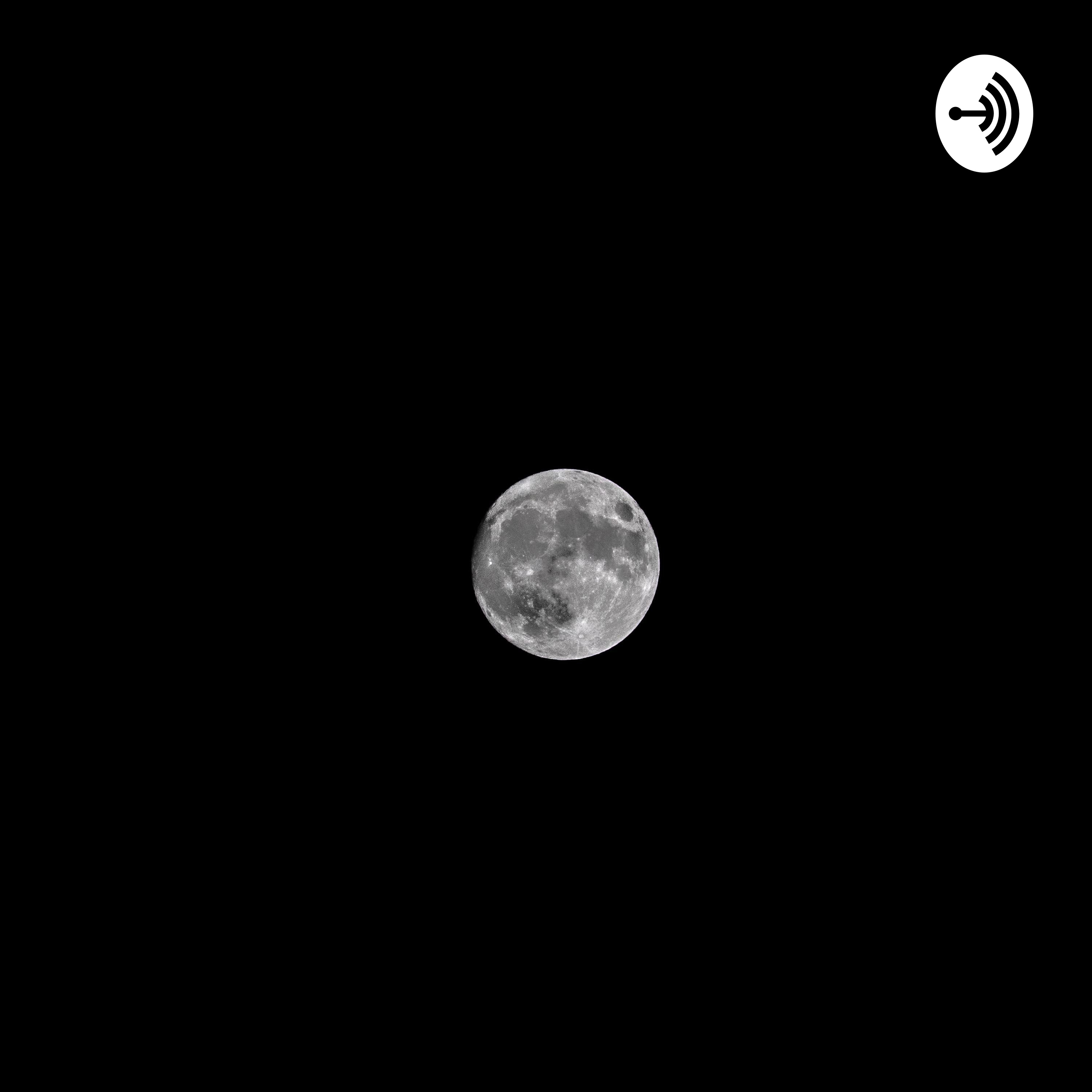 ceva mai mult despre viață si relativele ei 