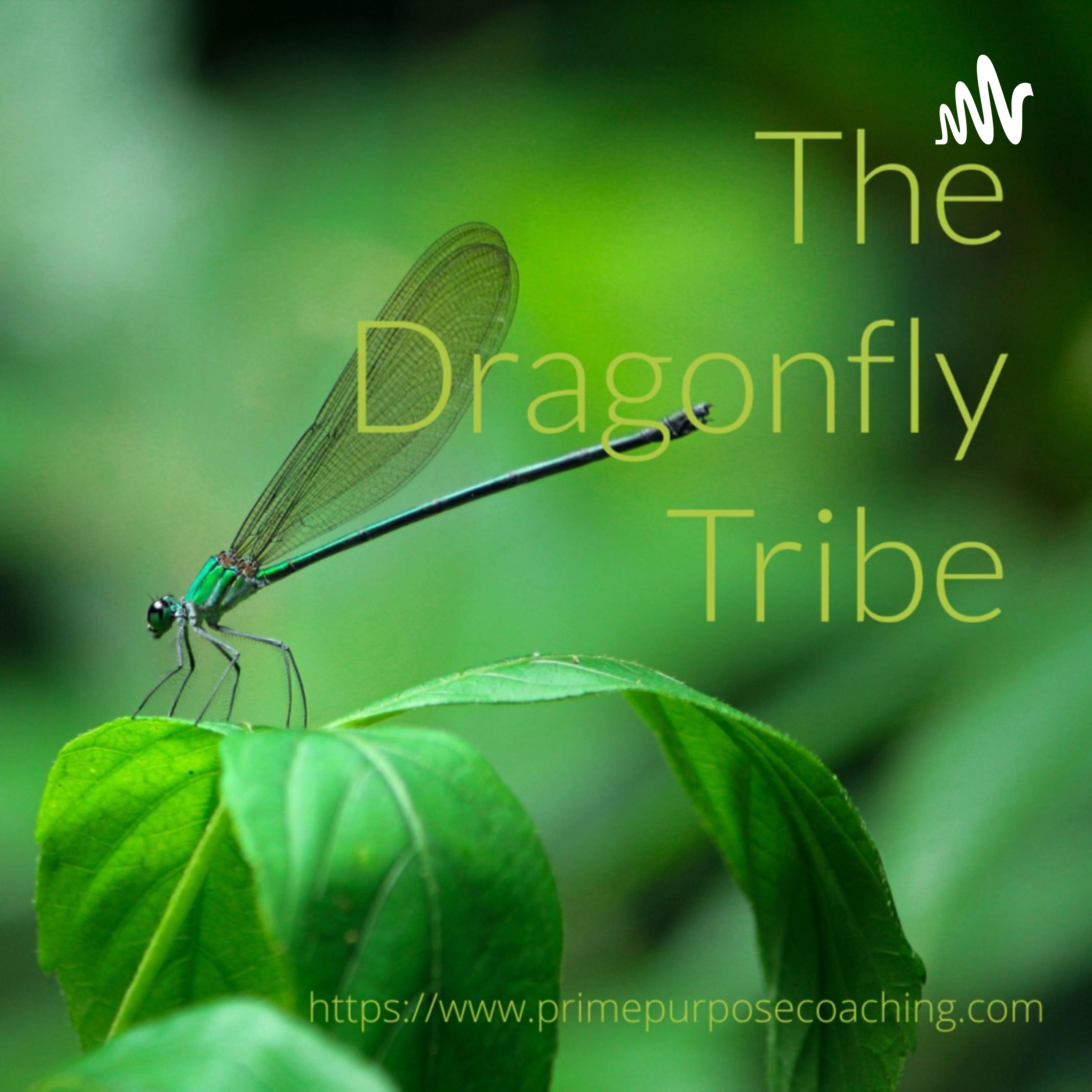The Dragonfly Tribe podcast artwork