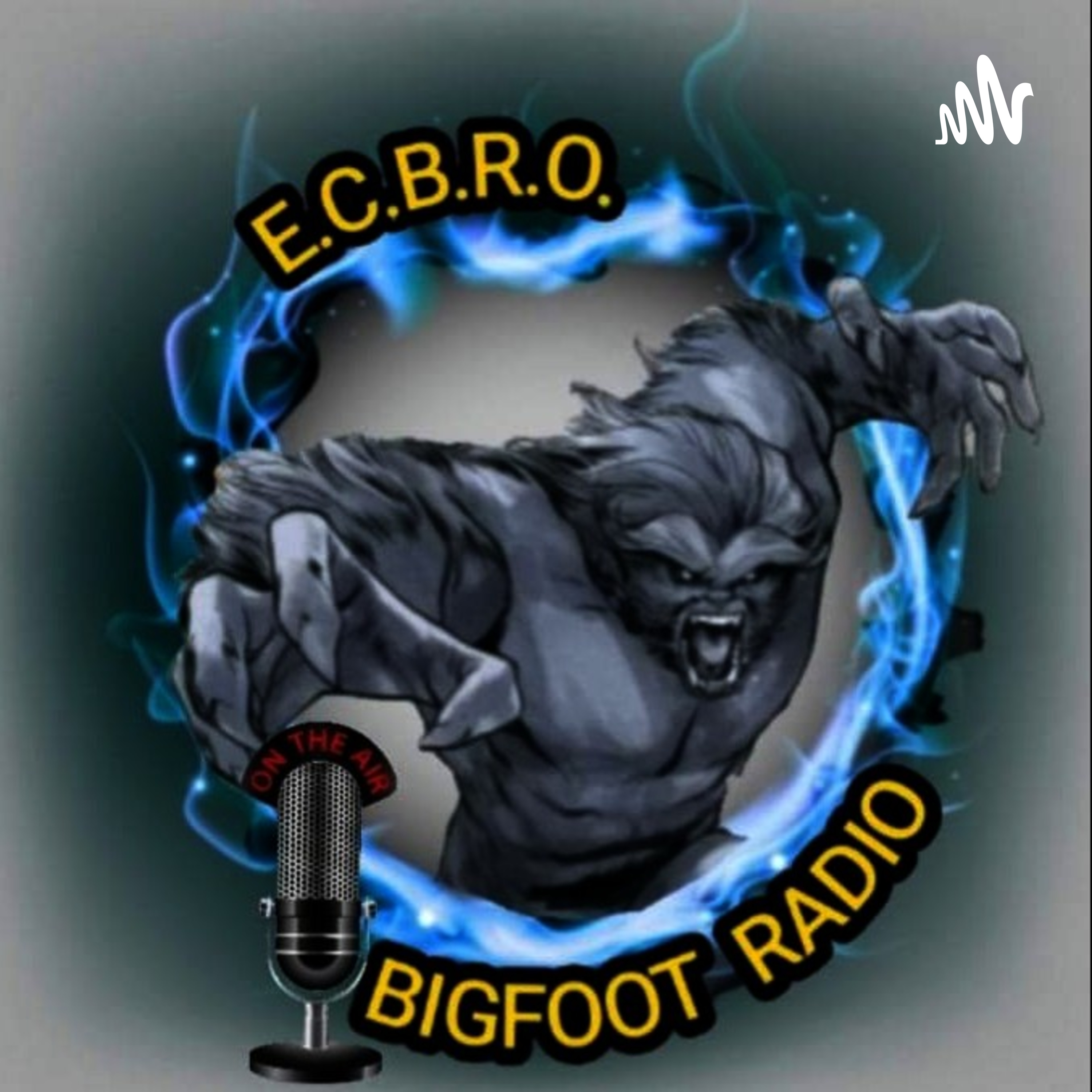 ECBRO BIGFOOT RADIO