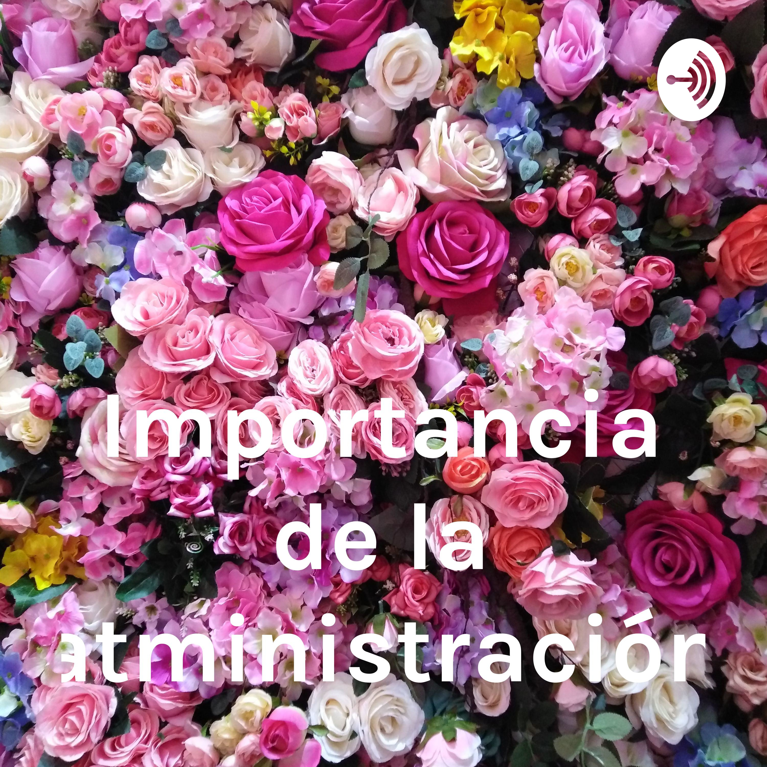 Importancia de la atministración