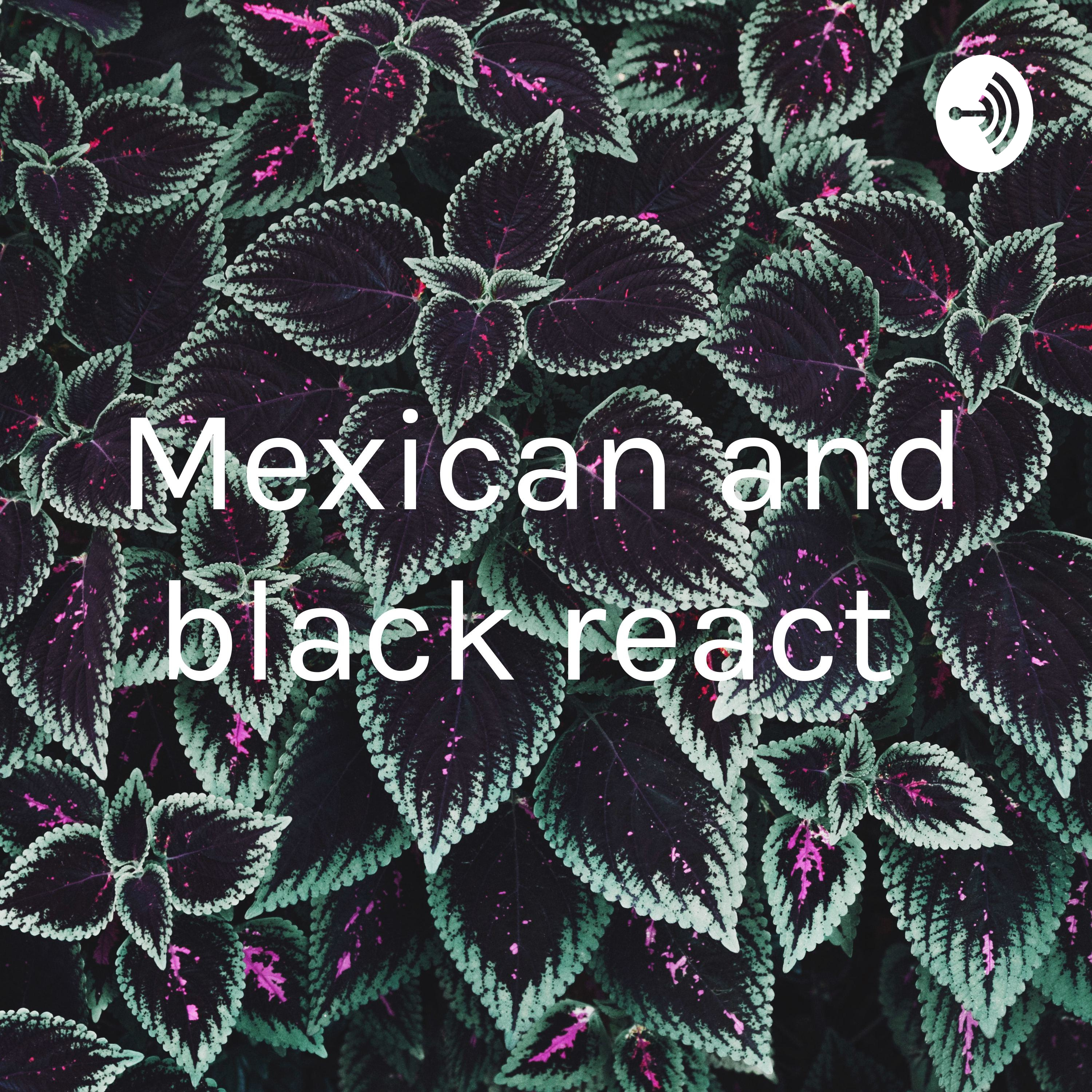 Mexican and black react 