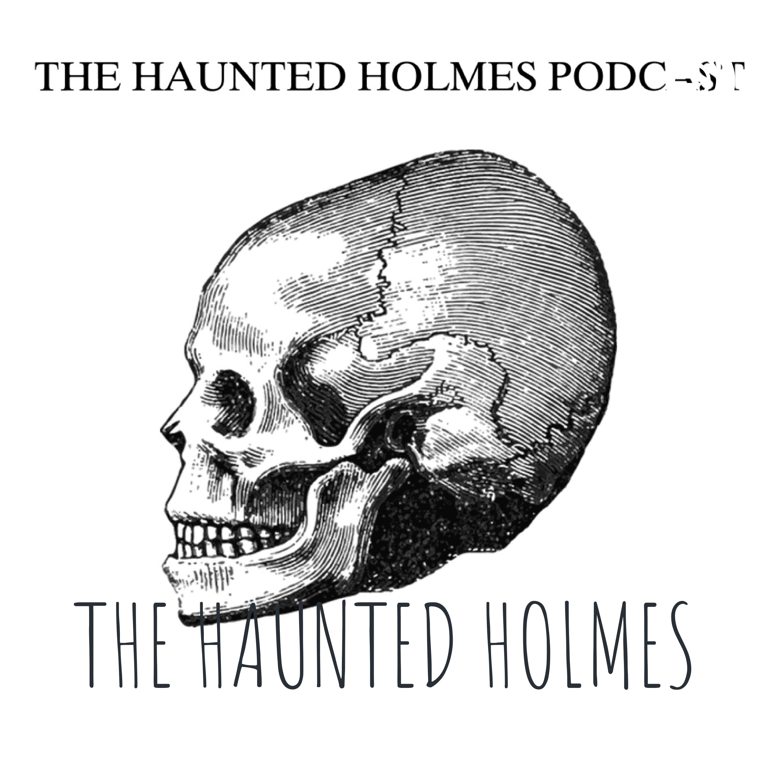 THE HAUNTED HOLMES