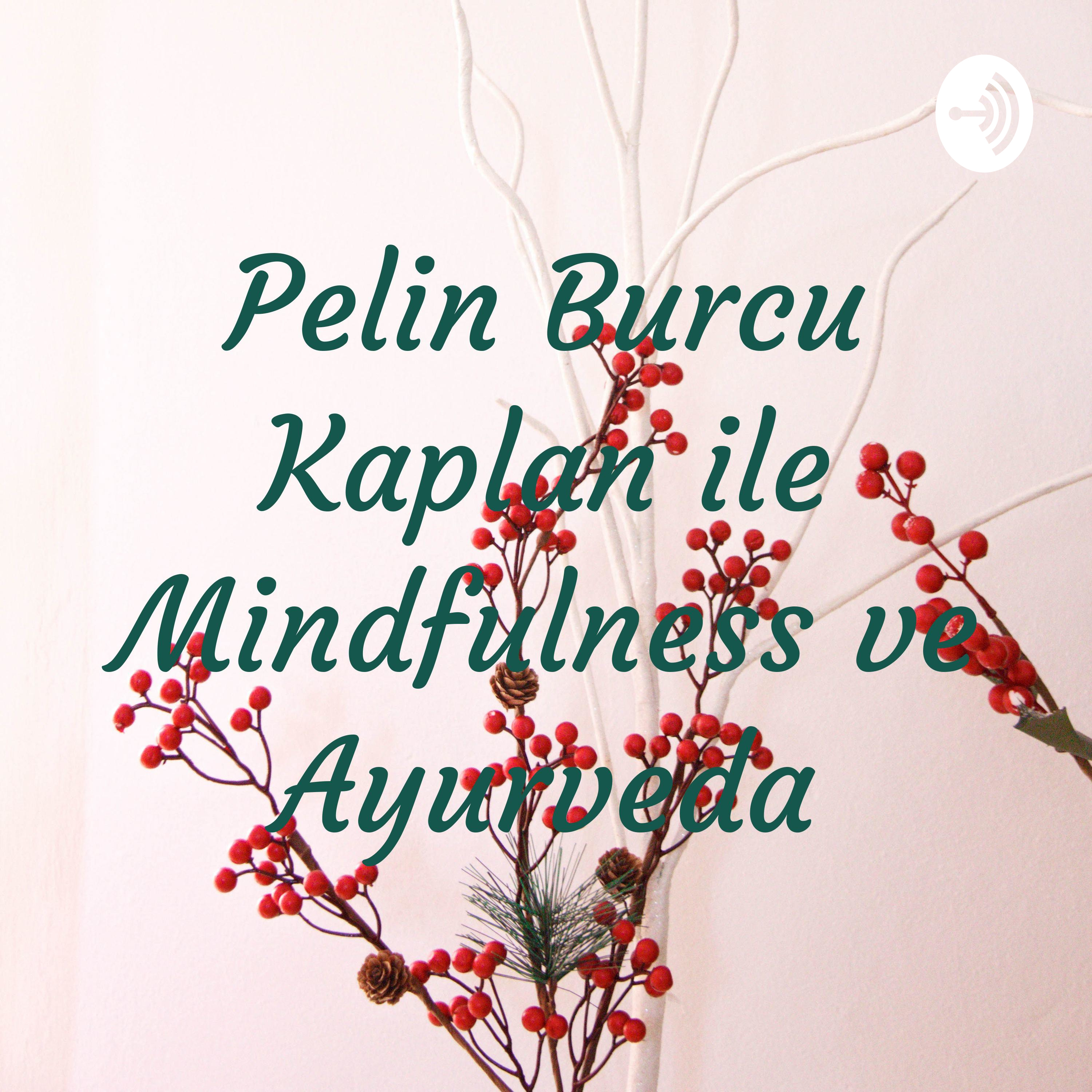 Pelin Burcu Kaplan ile Mindfulness ve Ayurveda