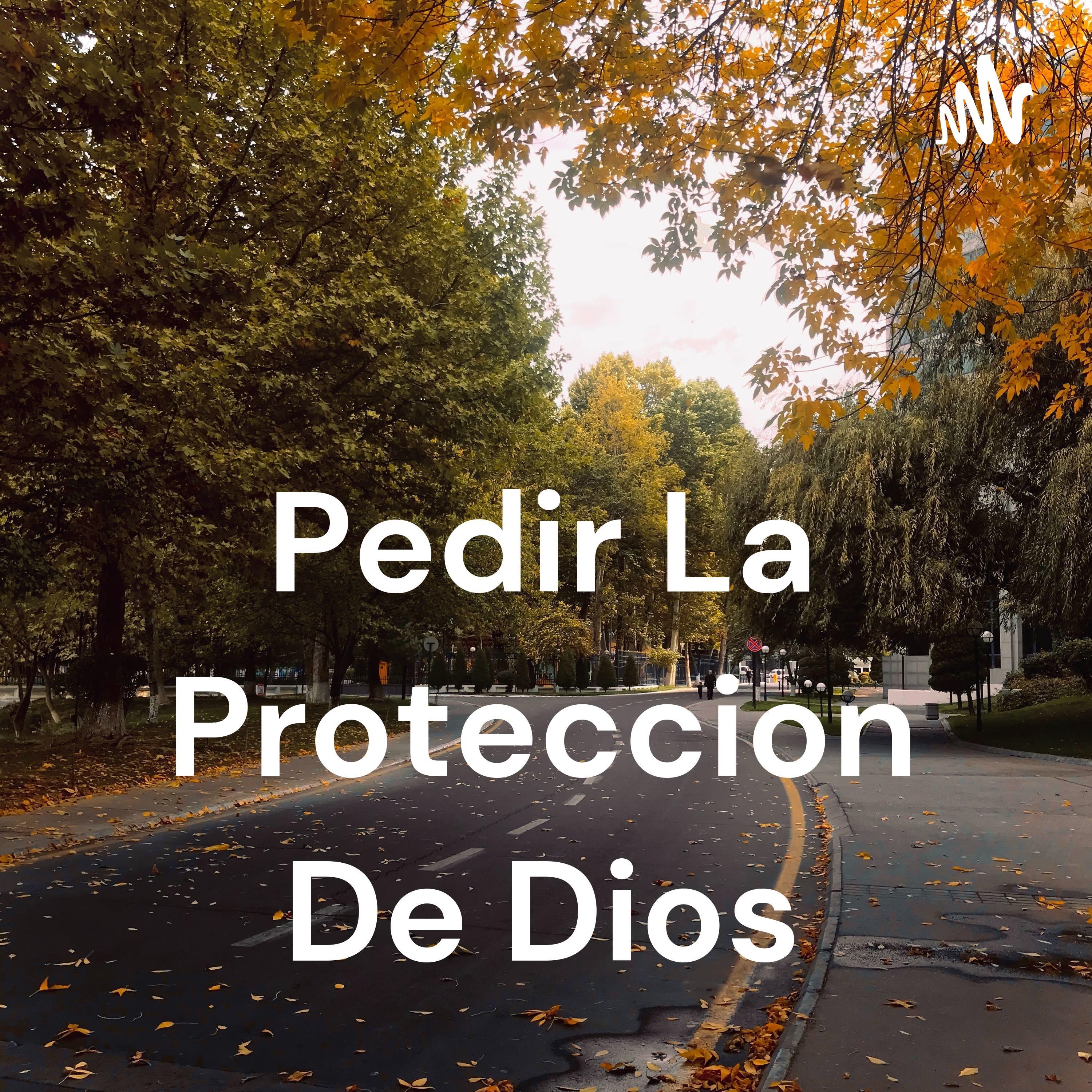 Pedir La Proteccion De Dios