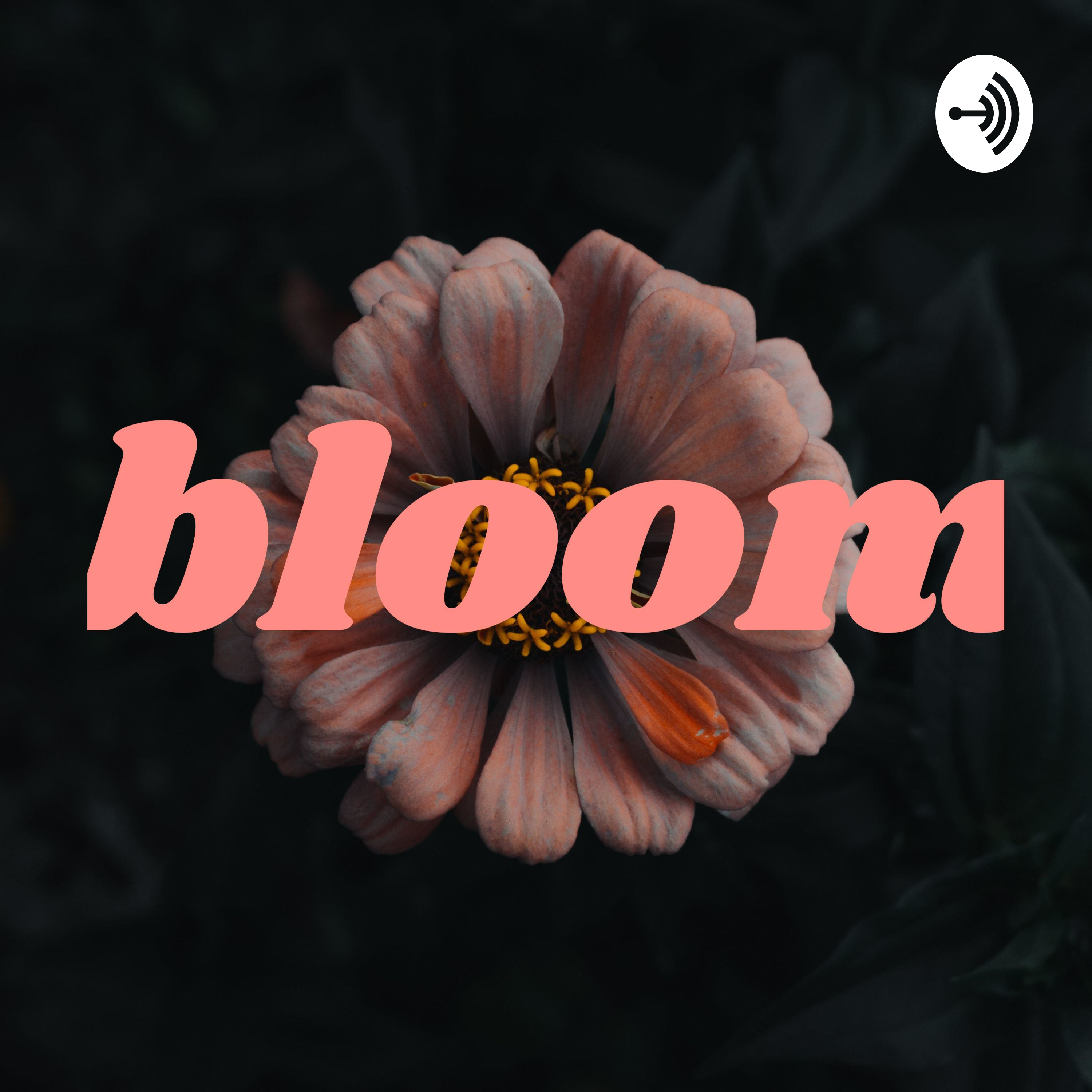 bloom