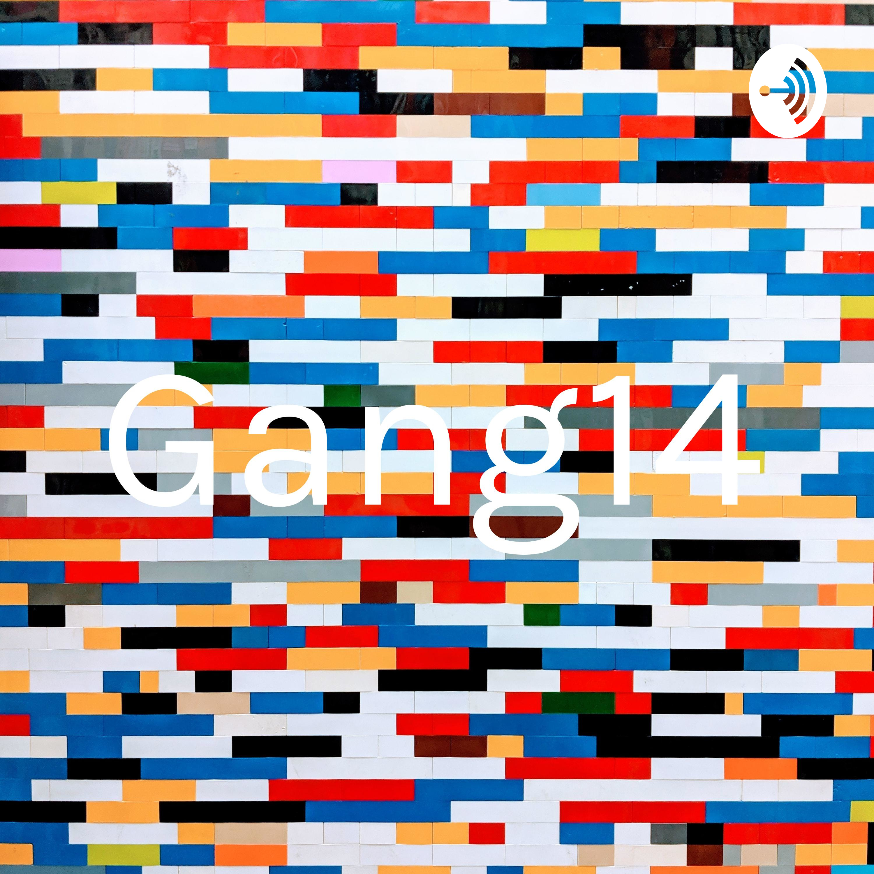 Gang14 cover art