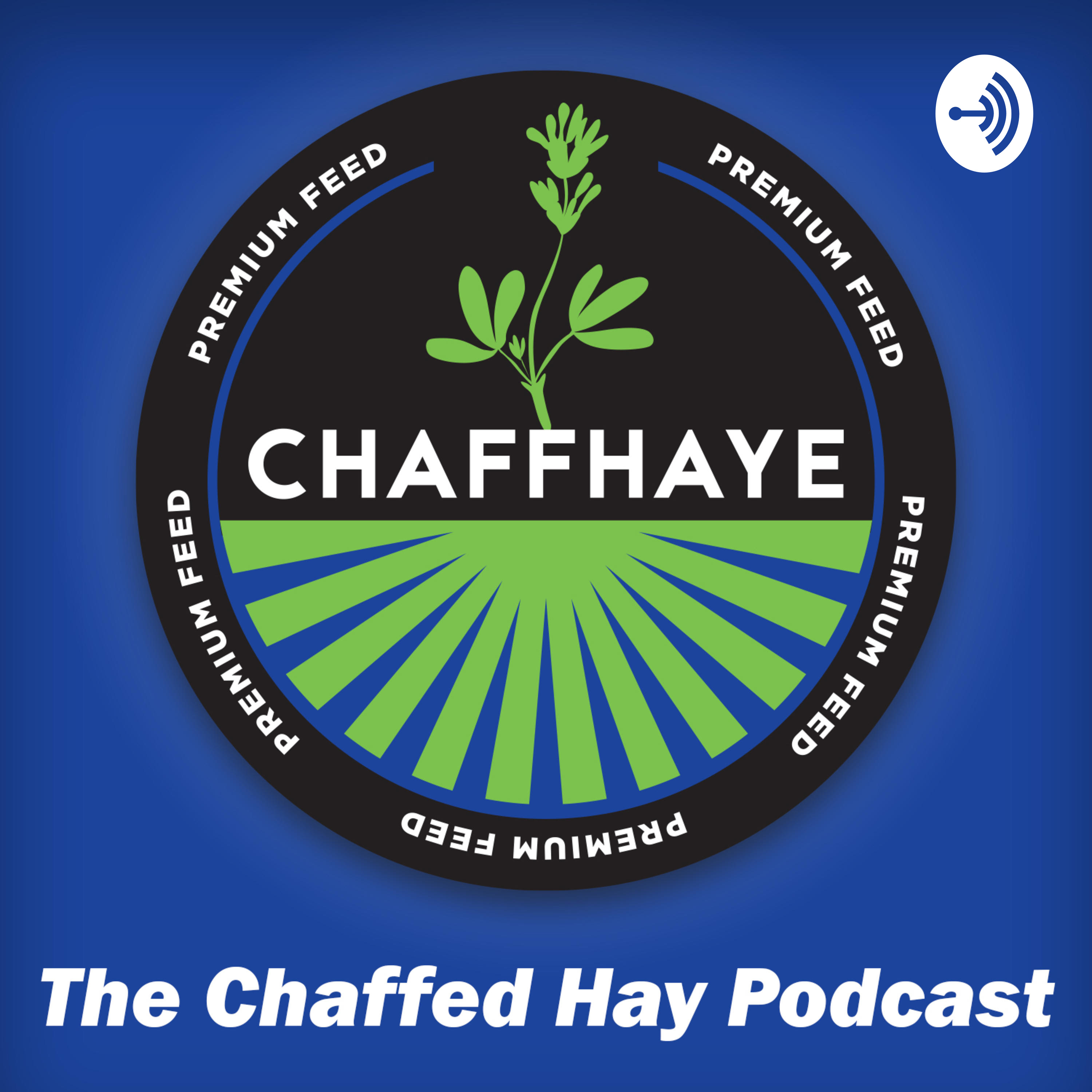 The Chaffed Hay The Chaffed Hay