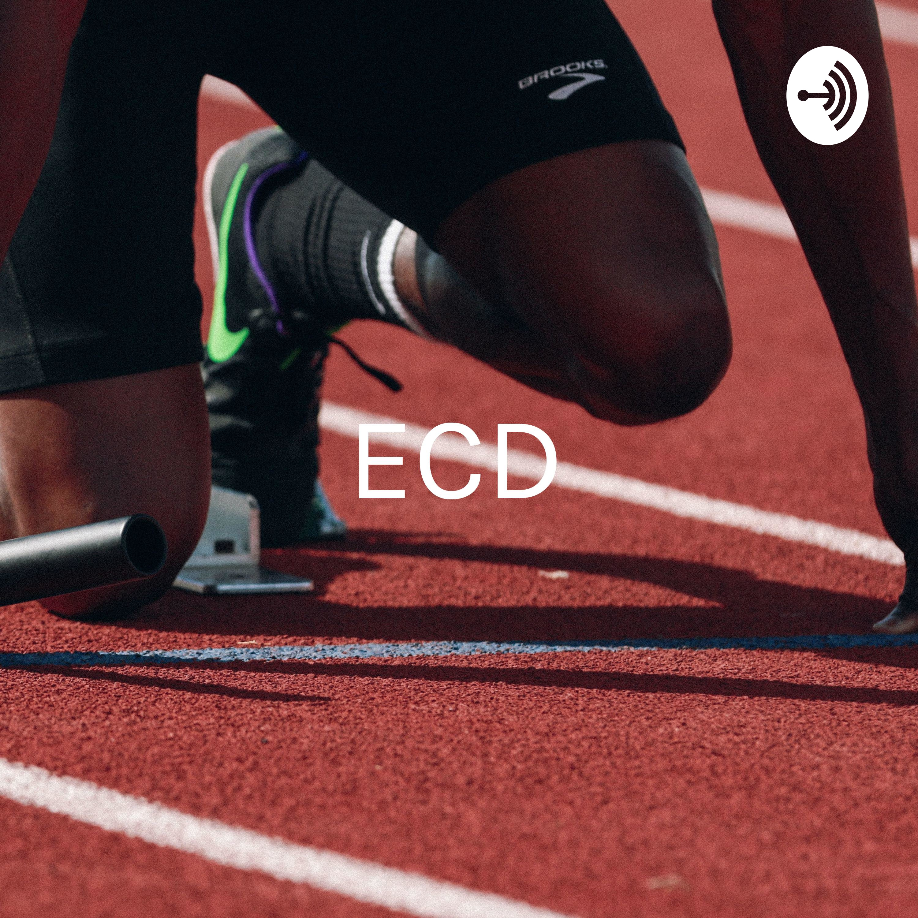 Especialización en coaching deportivo.